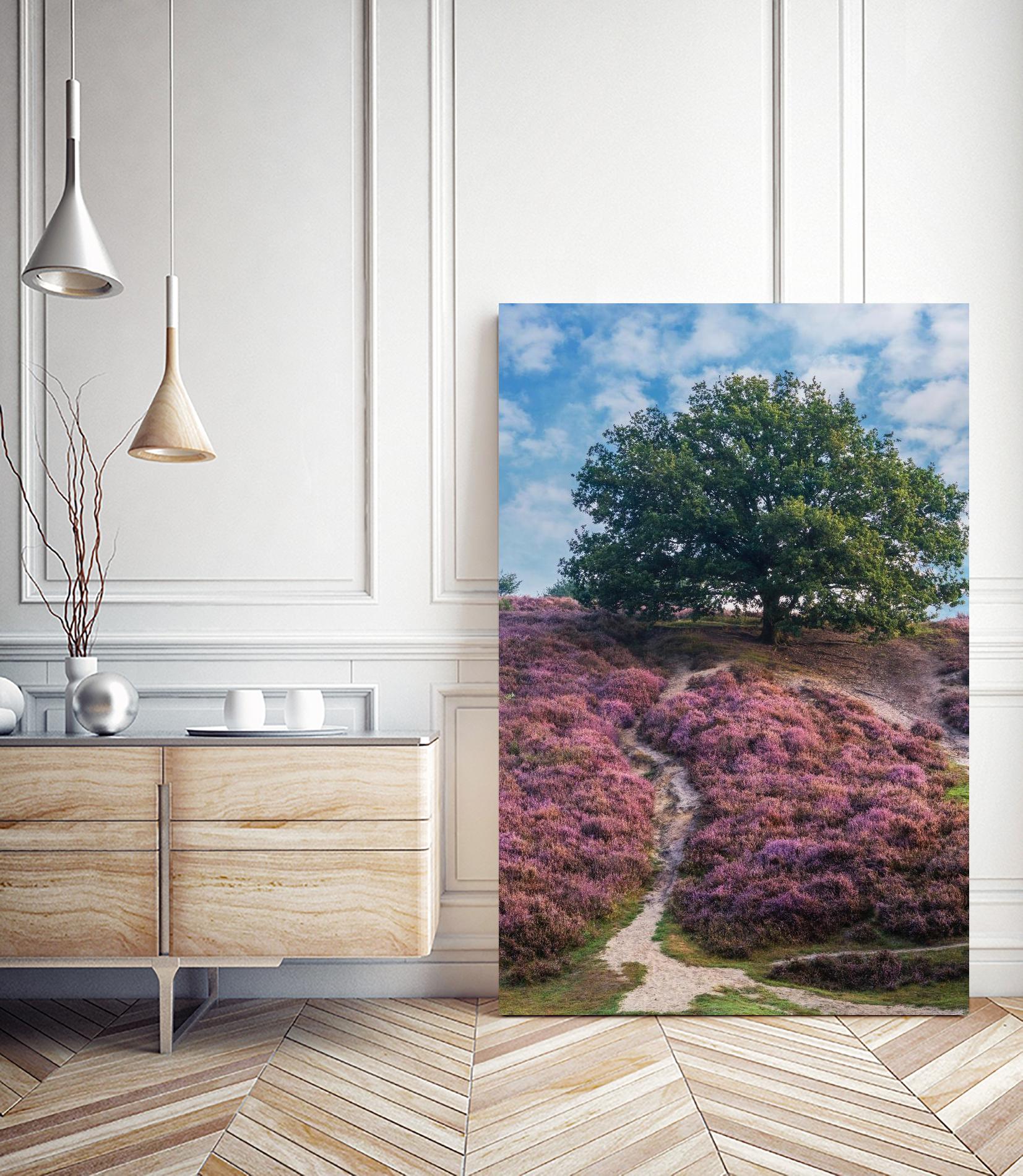 Purple Heath by Lars Van de Goor on GIANT ART - multicolor photography; landscapes