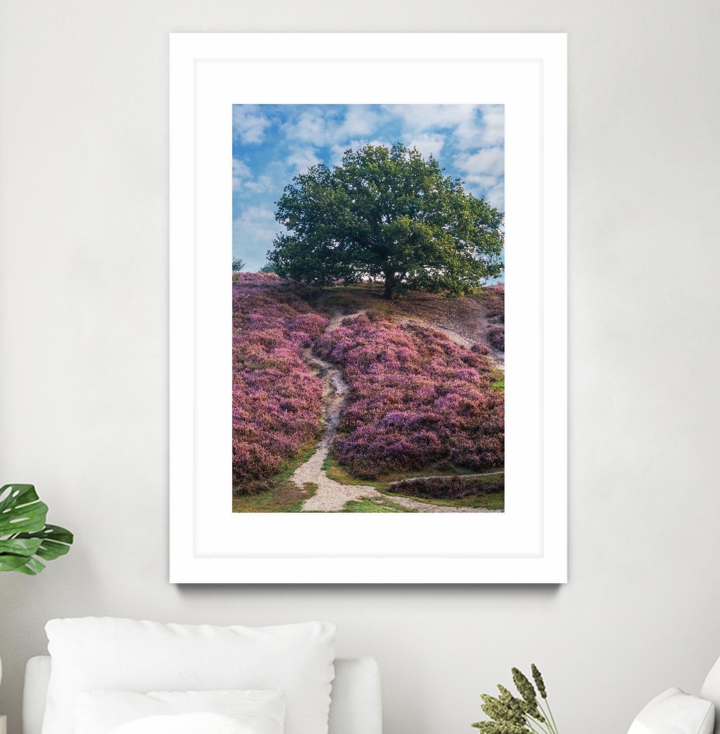 Purple Heath by Lars Van de Goor on GIANT ART - multicolor photography; landscapes