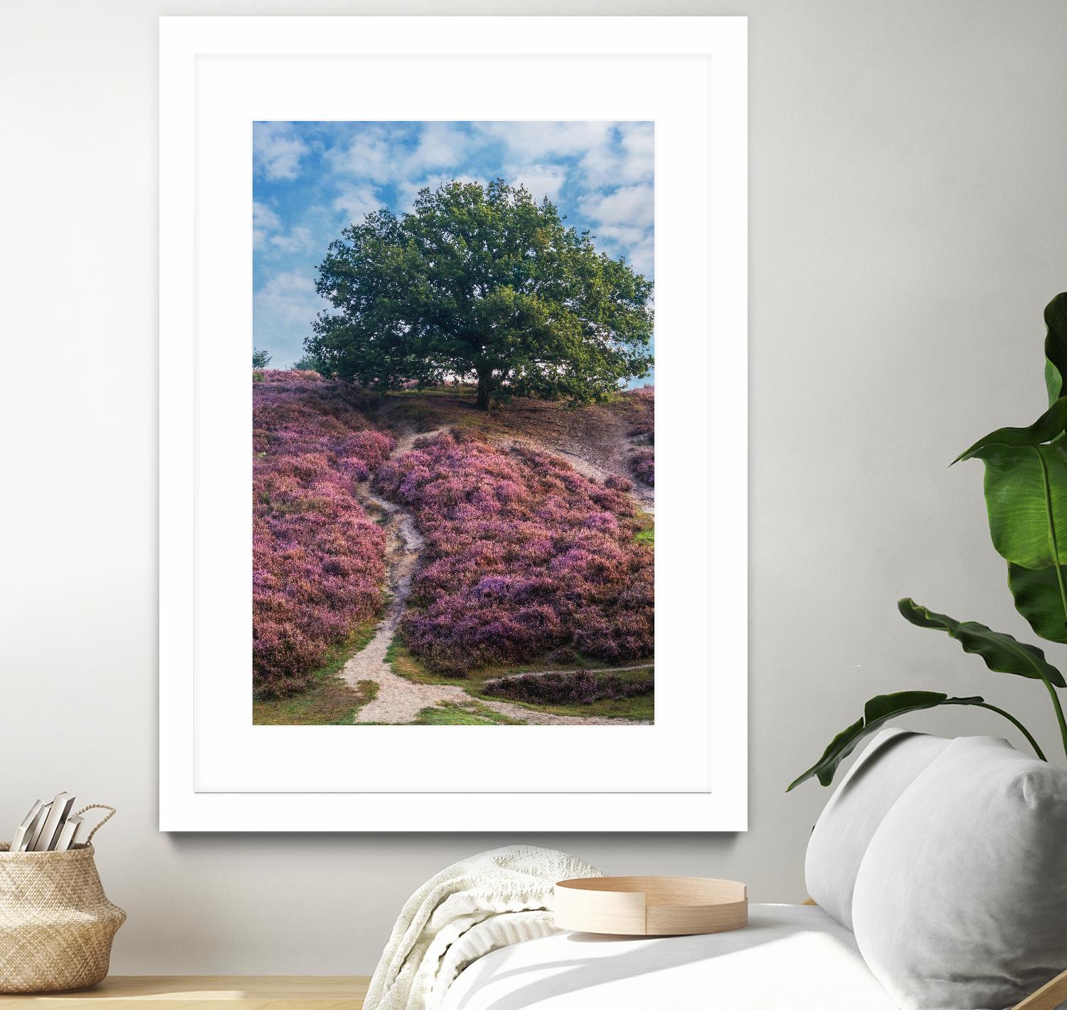 Purple Heath by Lars Van de Goor on GIANT ART - multicolor photography; landscapes