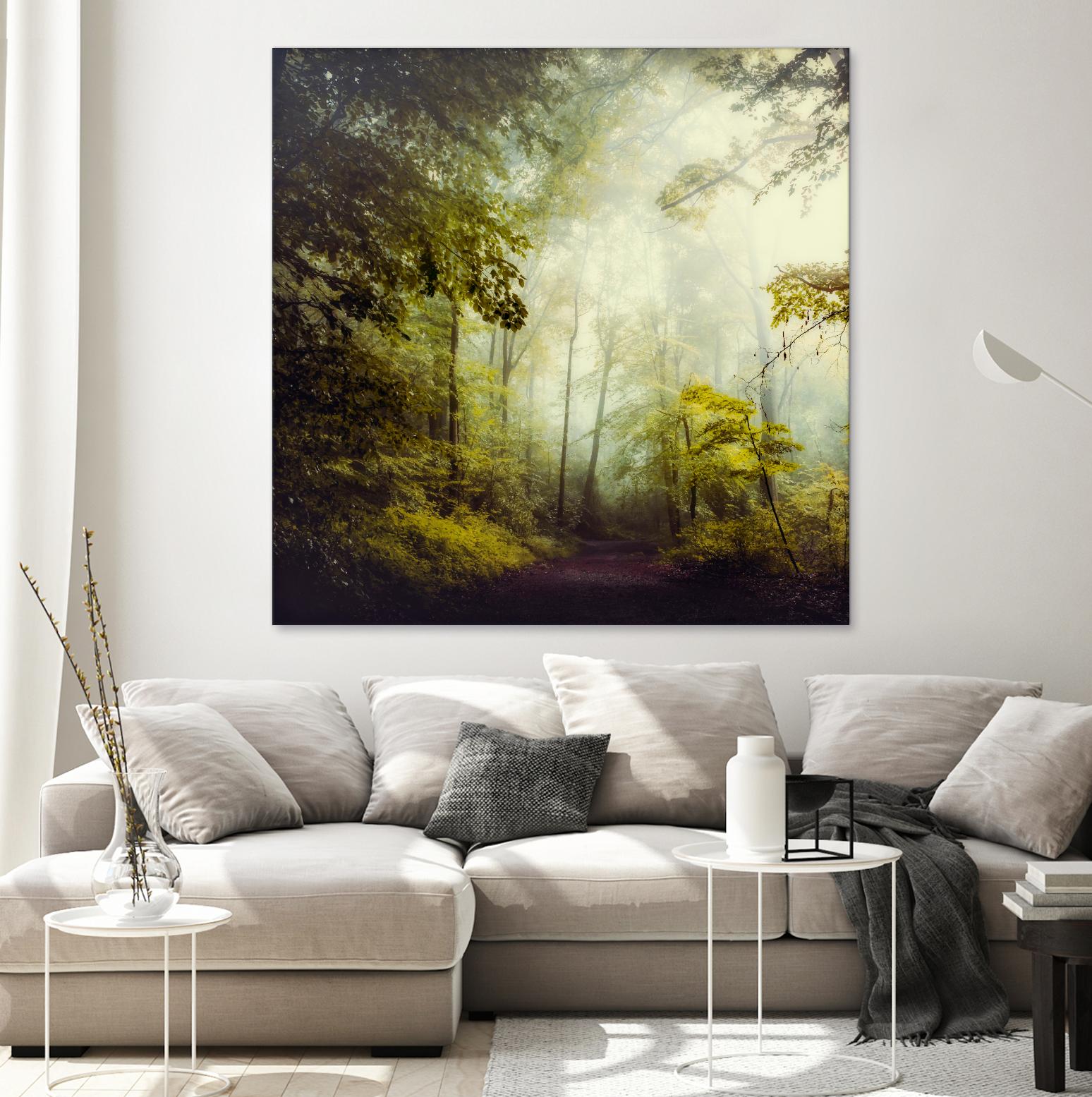 Glorious Woods by Dirk Wuestenhagen on GIANT ART - multicolor photography; landscapes