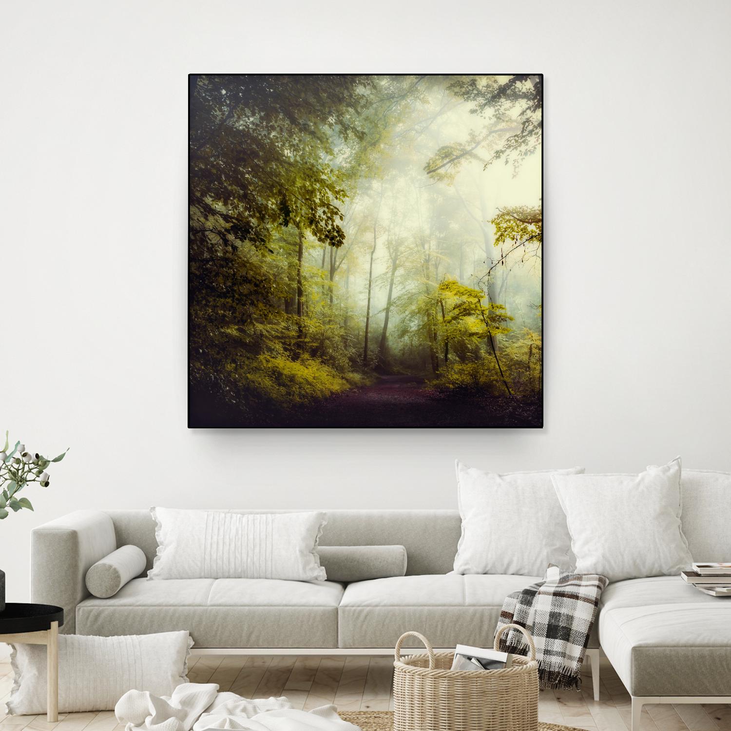 Glorious Woods by Dirk Wuestenhagen on GIANT ART - multicolor photography; landscapes