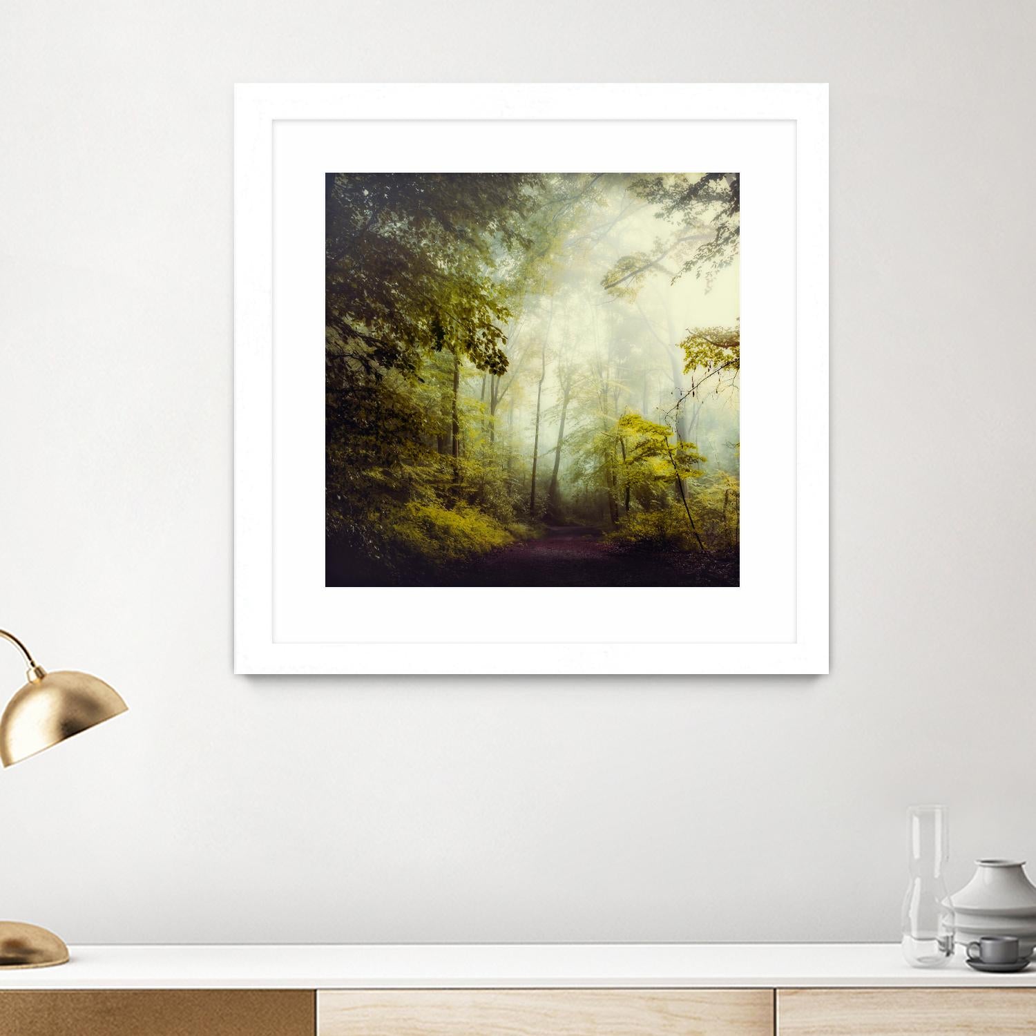 Glorious Woods by Dirk Wuestenhagen on GIANT ART - multicolor photography; landscapes