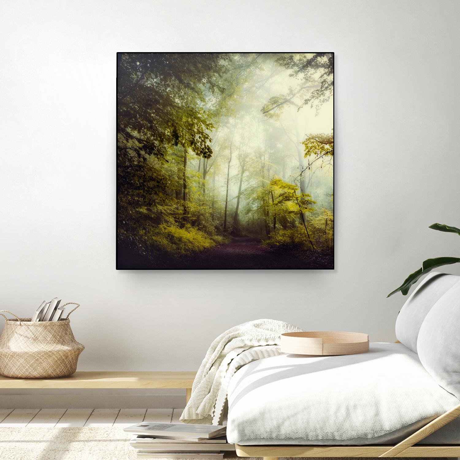 Glorious Woods by Dirk Wuestenhagen on GIANT ART - multicolor photography; landscapes