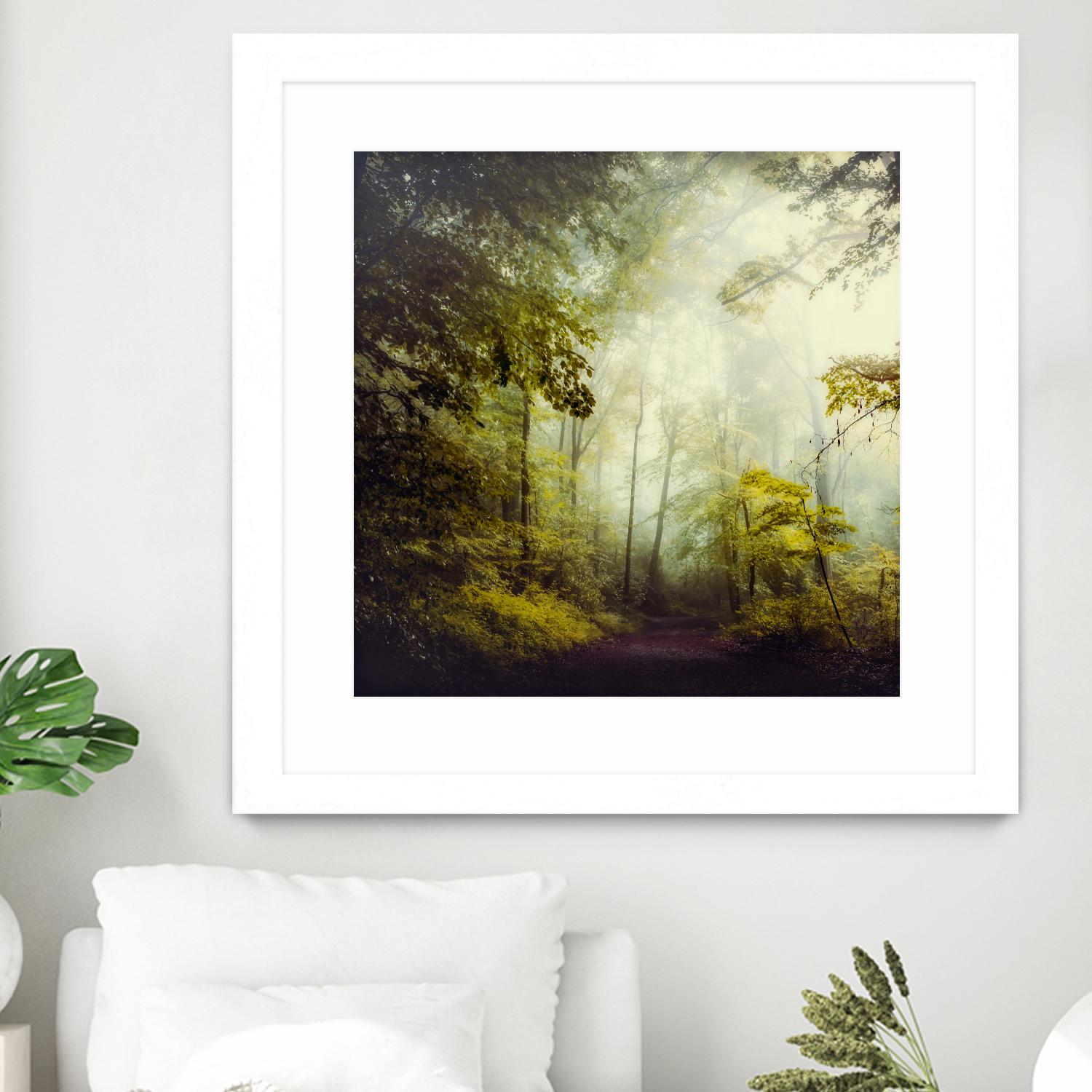 Glorious Woods by Dirk Wuestenhagen on GIANT ART - multicolor photography; landscapes