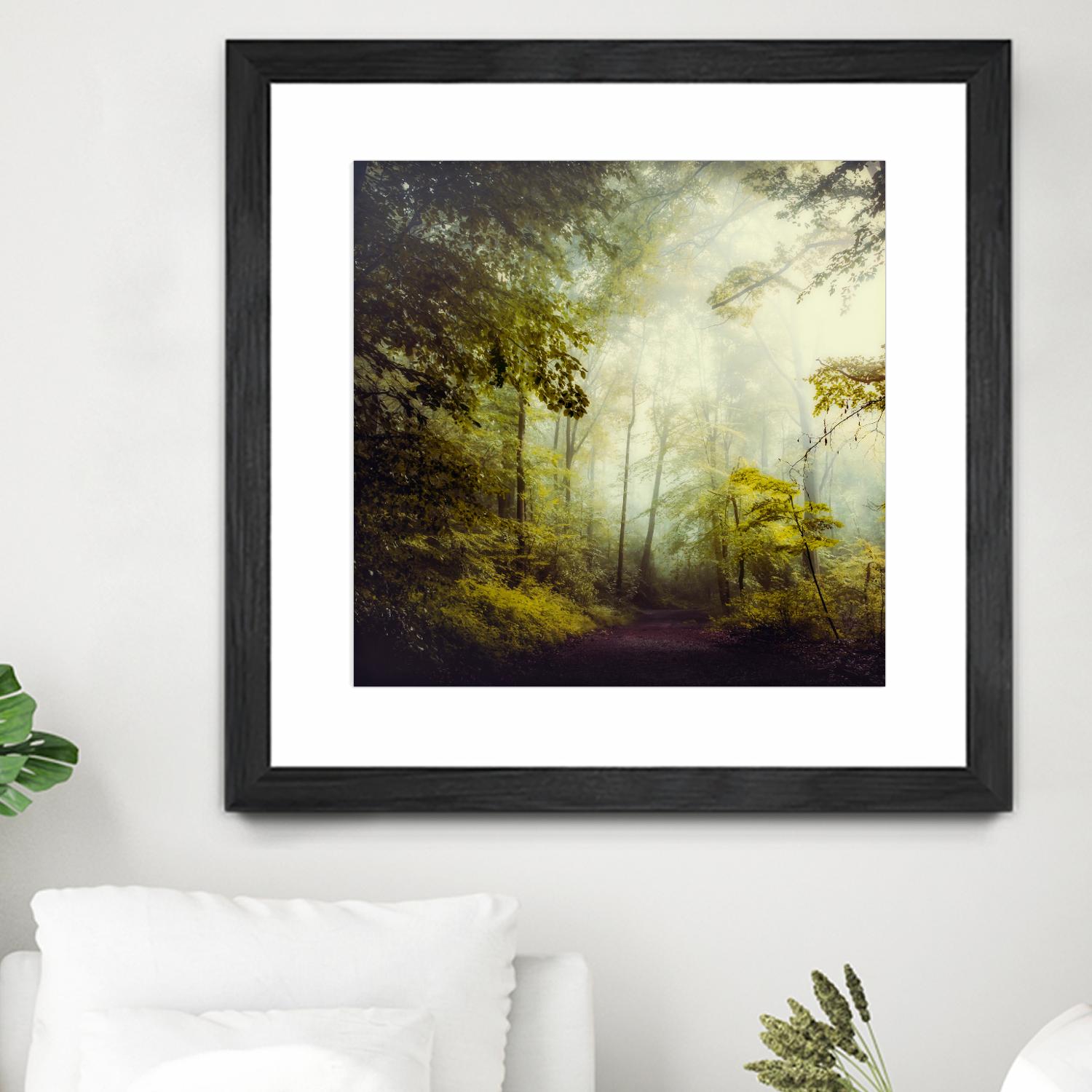 Glorious Woods by Dirk Wuestenhagen on GIANT ART - multicolor photography; landscapes