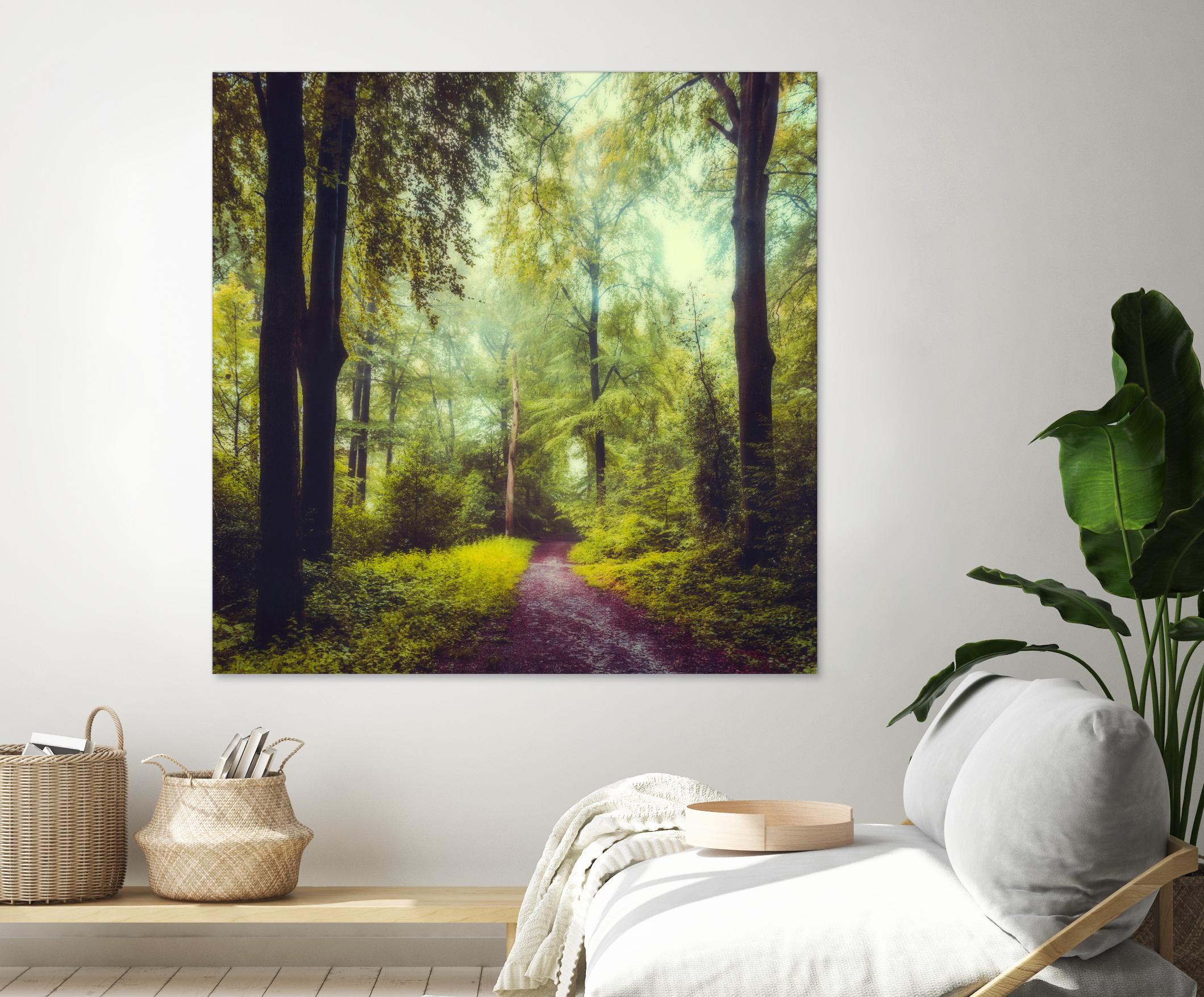 Never the Same Again by Dirk Wuestenhagen on GIANT ART - multicolor photography; landscapes