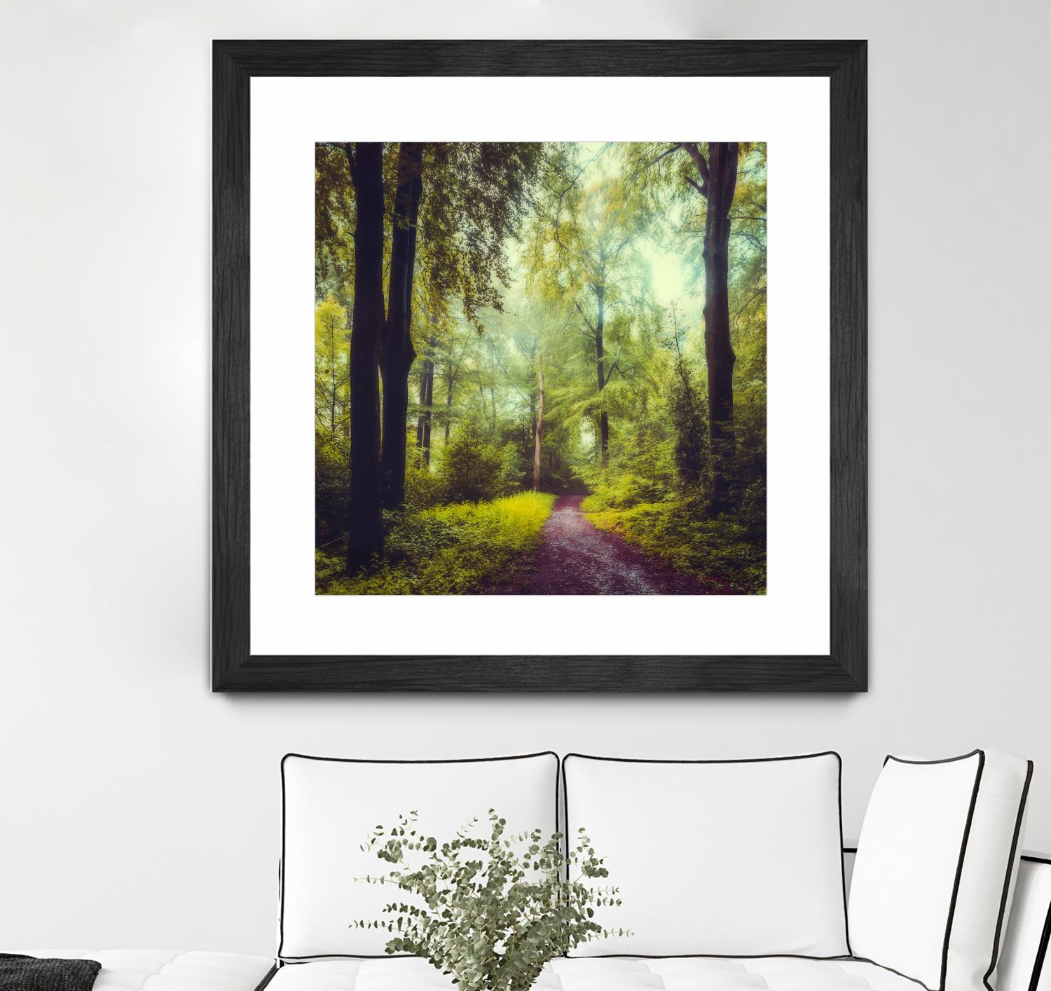 Never the Same Again by Dirk Wuestenhagen on GIANT ART - multicolor photography; landscapes