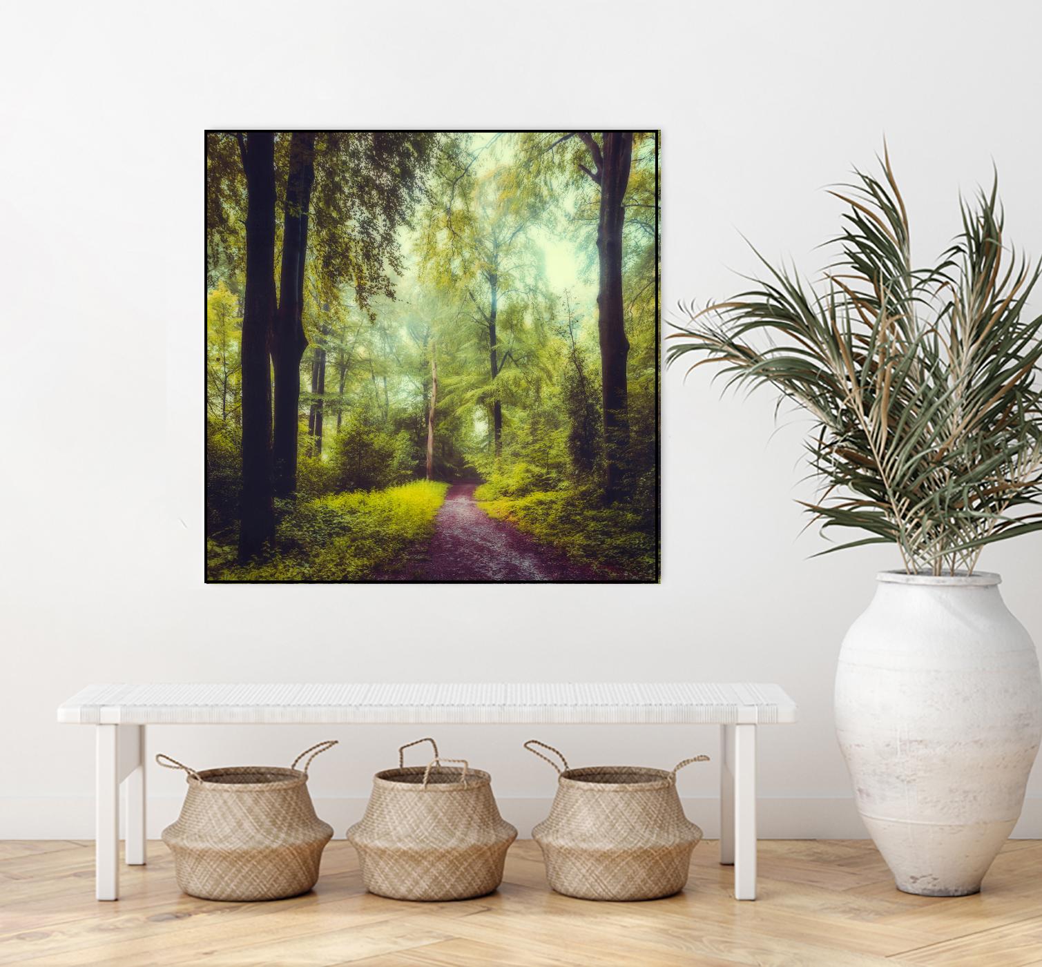 Never the Same Again by Dirk Wuestenhagen on GIANT ART - multicolor photography; landscapes