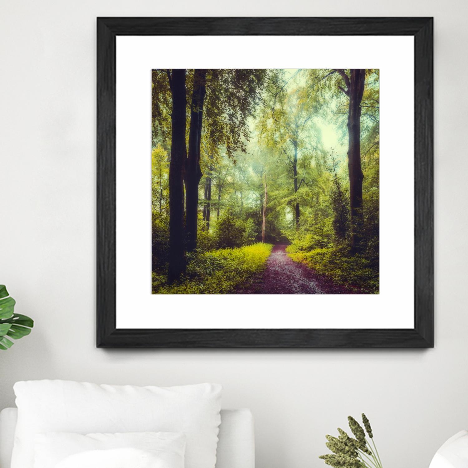 Never the Same Again by Dirk Wuestenhagen on GIANT ART - multicolor photography; landscapes