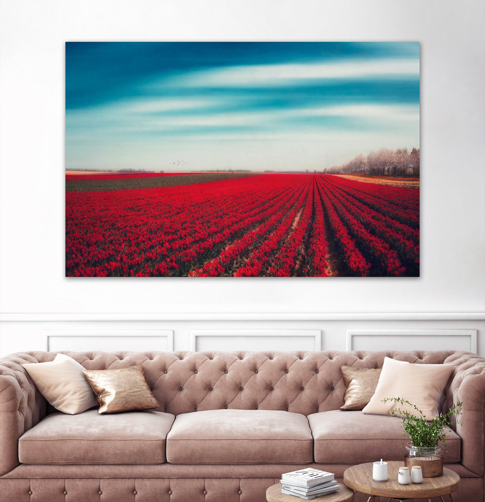 Tulips by Dirk Wuestenhagen on GIANT ART - multicolor photography; landscapes