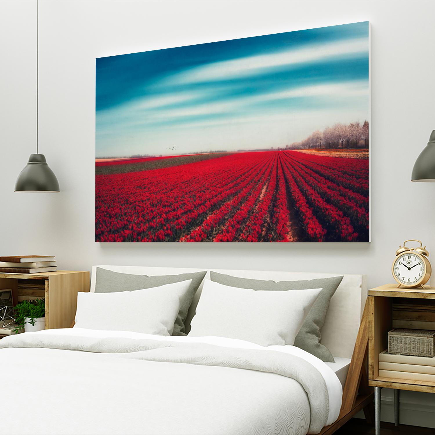 Tulips by Dirk Wuestenhagen on GIANT ART - multicolor photography; landscapes