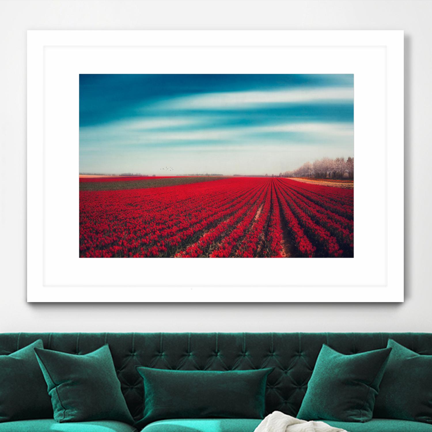 Tulips by Dirk Wuestenhagen on GIANT ART - multicolor photography; landscapes