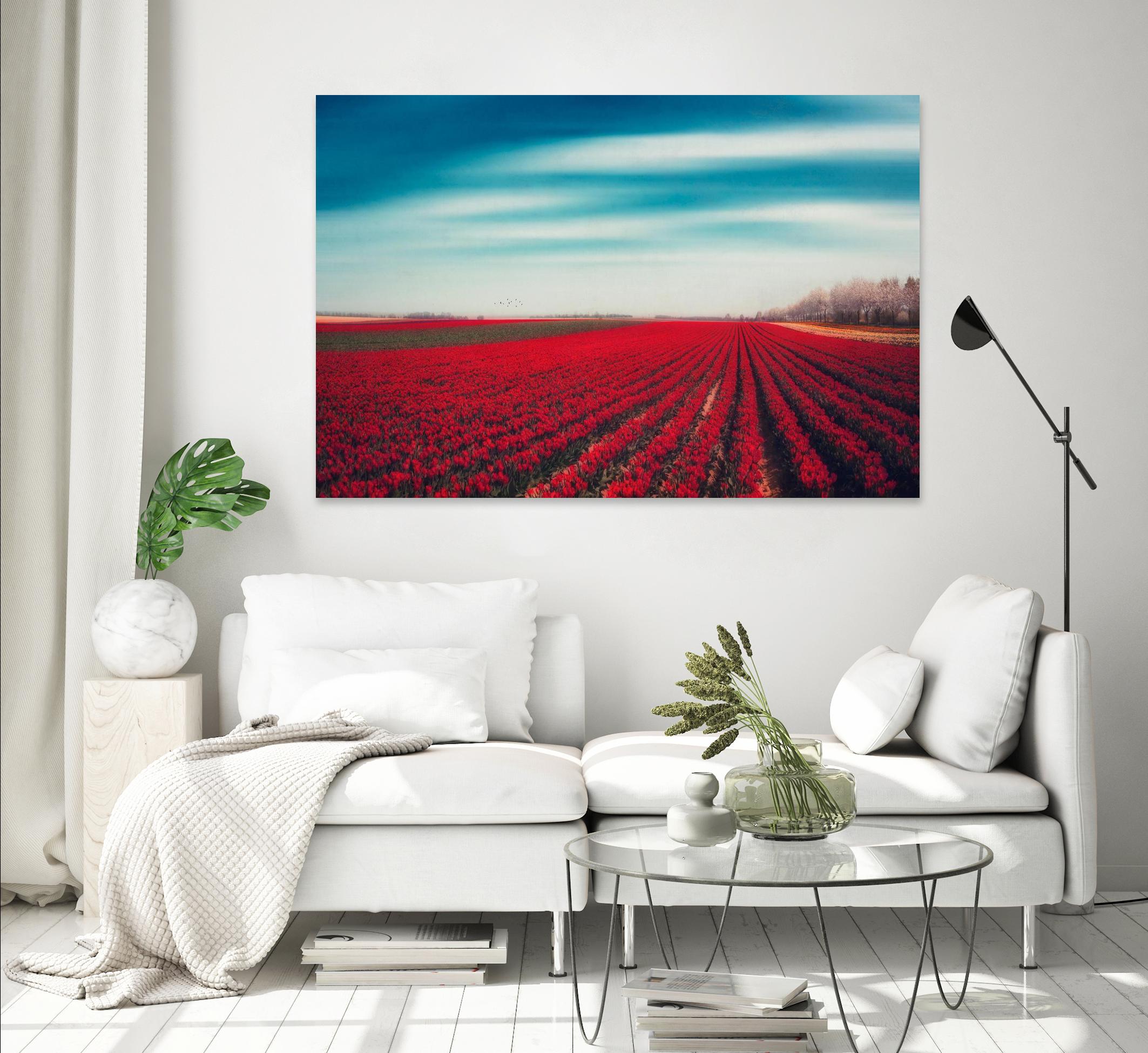 Tulips by Dirk Wuestenhagen on GIANT ART - multicolor photography; landscapes