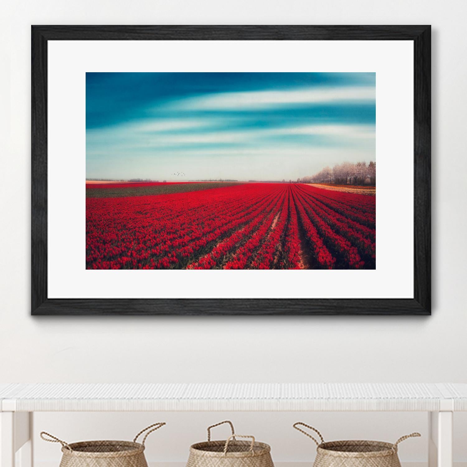Tulips by Dirk Wuestenhagen on GIANT ART - multicolor photography; landscapes