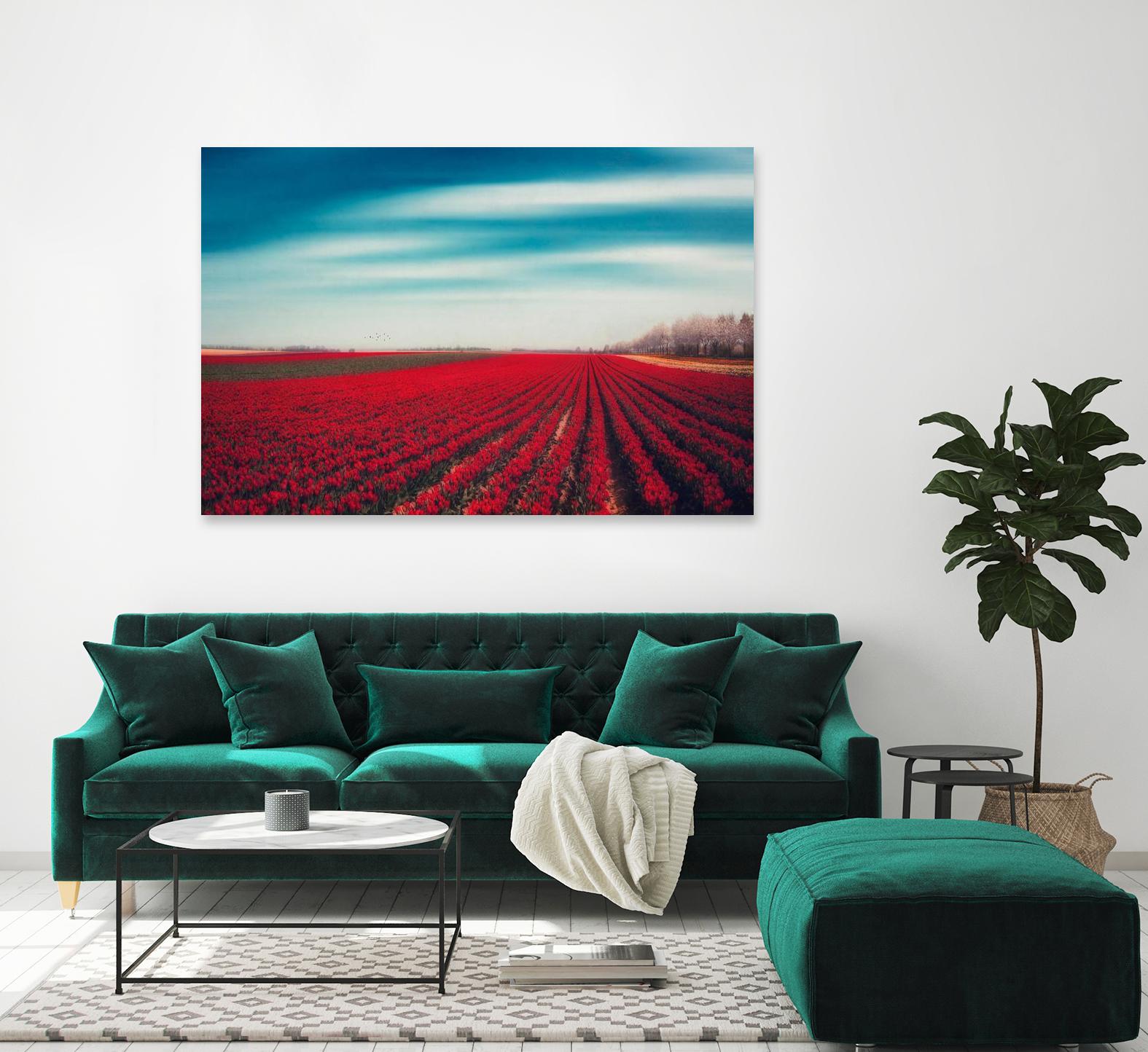 Tulips by Dirk Wuestenhagen on GIANT ART - multicolor photography; landscapes