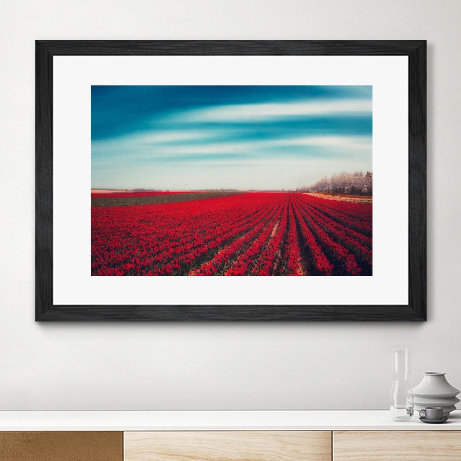 Tulips by Dirk Wuestenhagen on GIANT ART - multicolor photography; landscapes