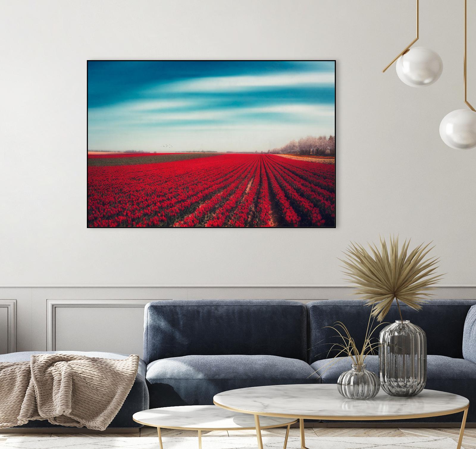Tulips by Dirk Wuestenhagen on GIANT ART - multicolor photography; landscapes