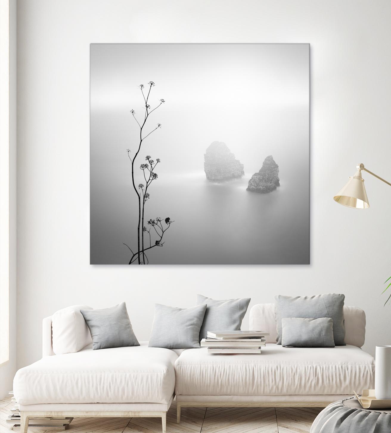 Misty Rocks by Alexandre Manuel on GIANT ART - grey landscape