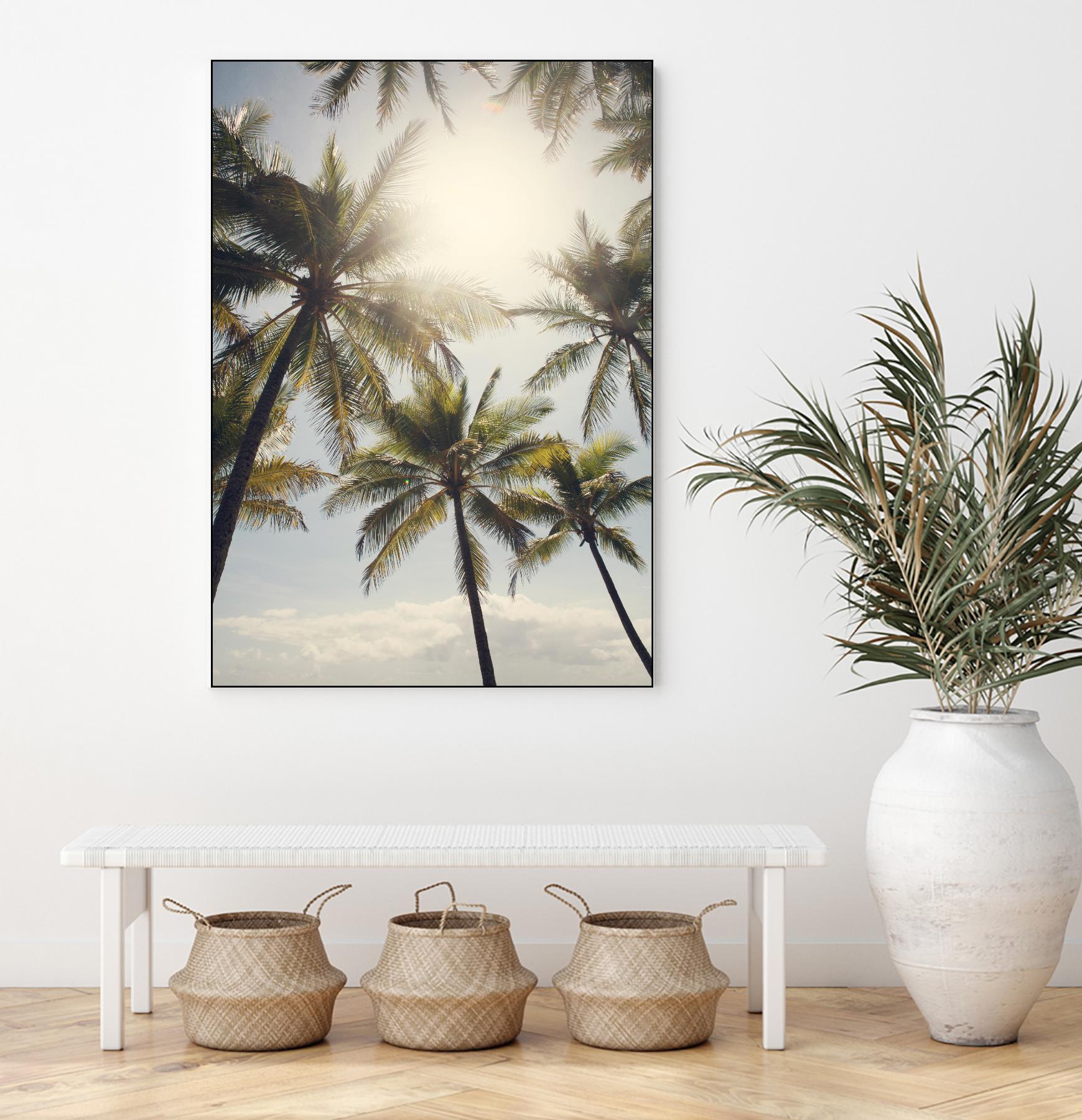 Standing in the Sun by Catherine McDonald on GIANT ART - white tropical