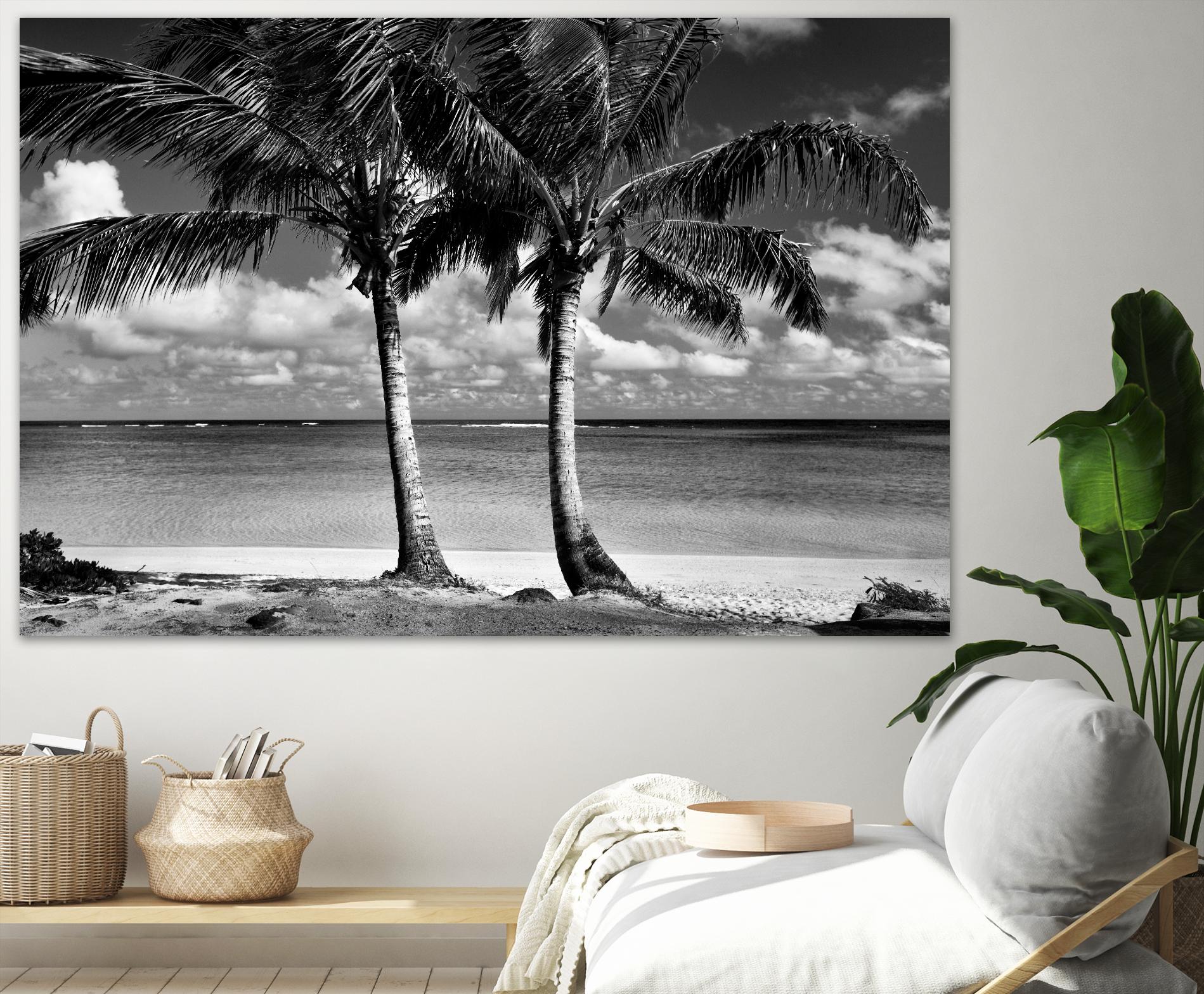 Summer Breezes I by Dennis Frates on GIANT ART - white tropical