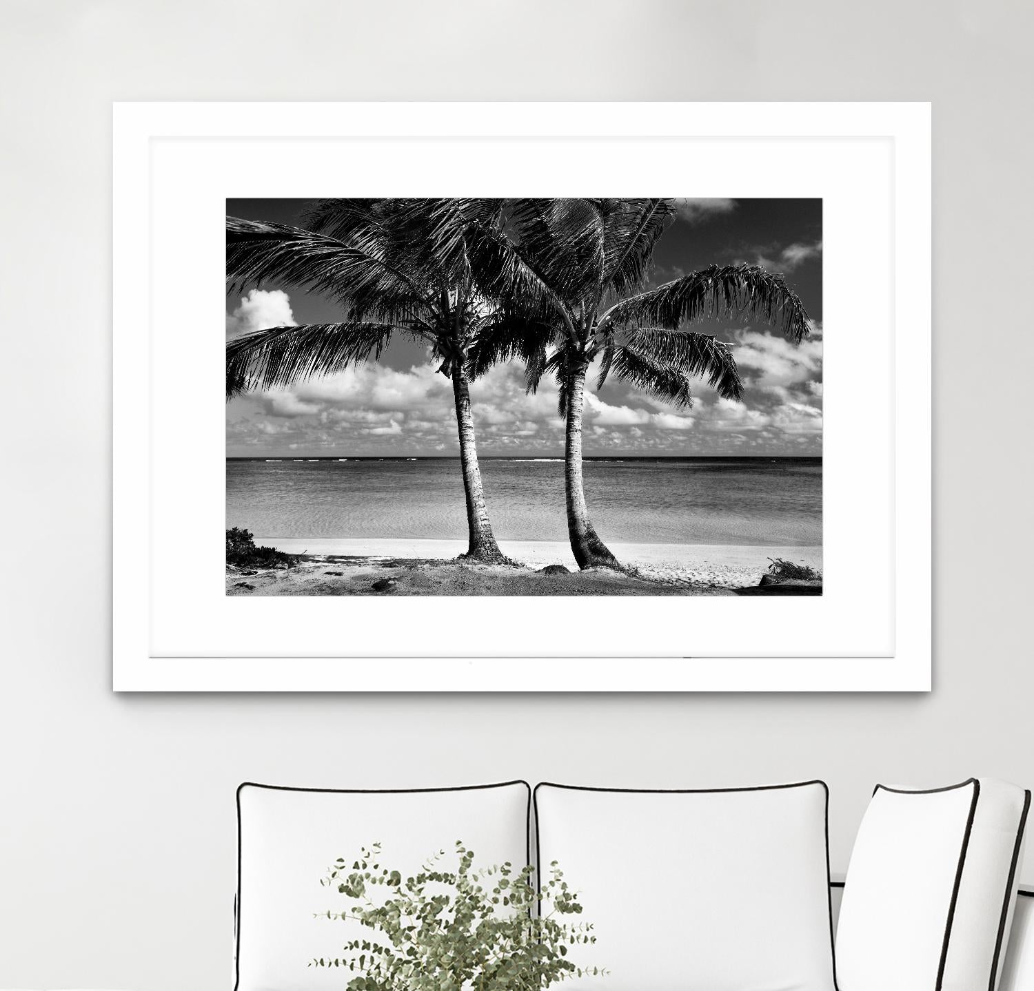 Summer Breezes I by Dennis Frates on GIANT ART - white tropical