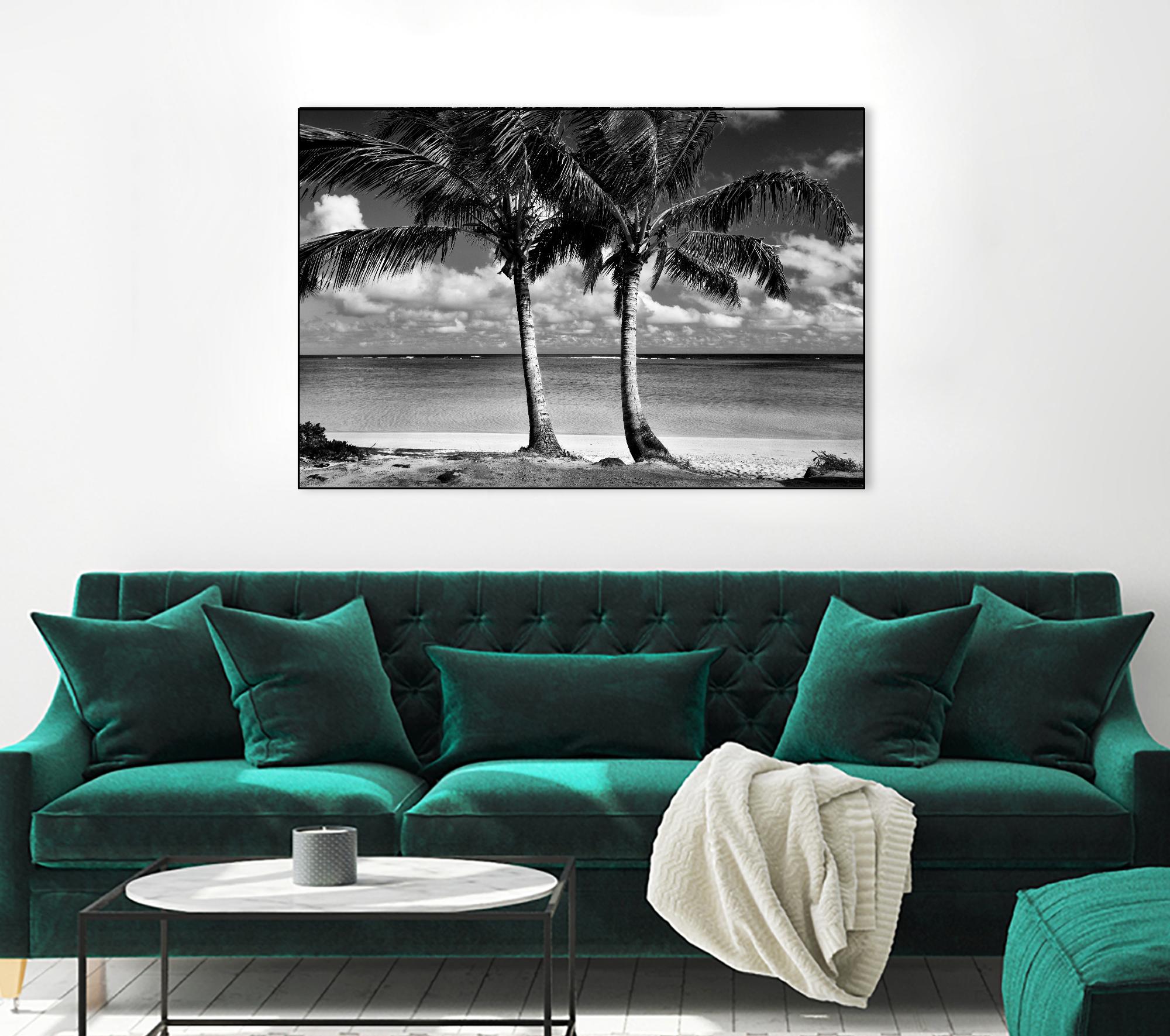 Summer Breezes I by Dennis Frates on GIANT ART - white tropical
