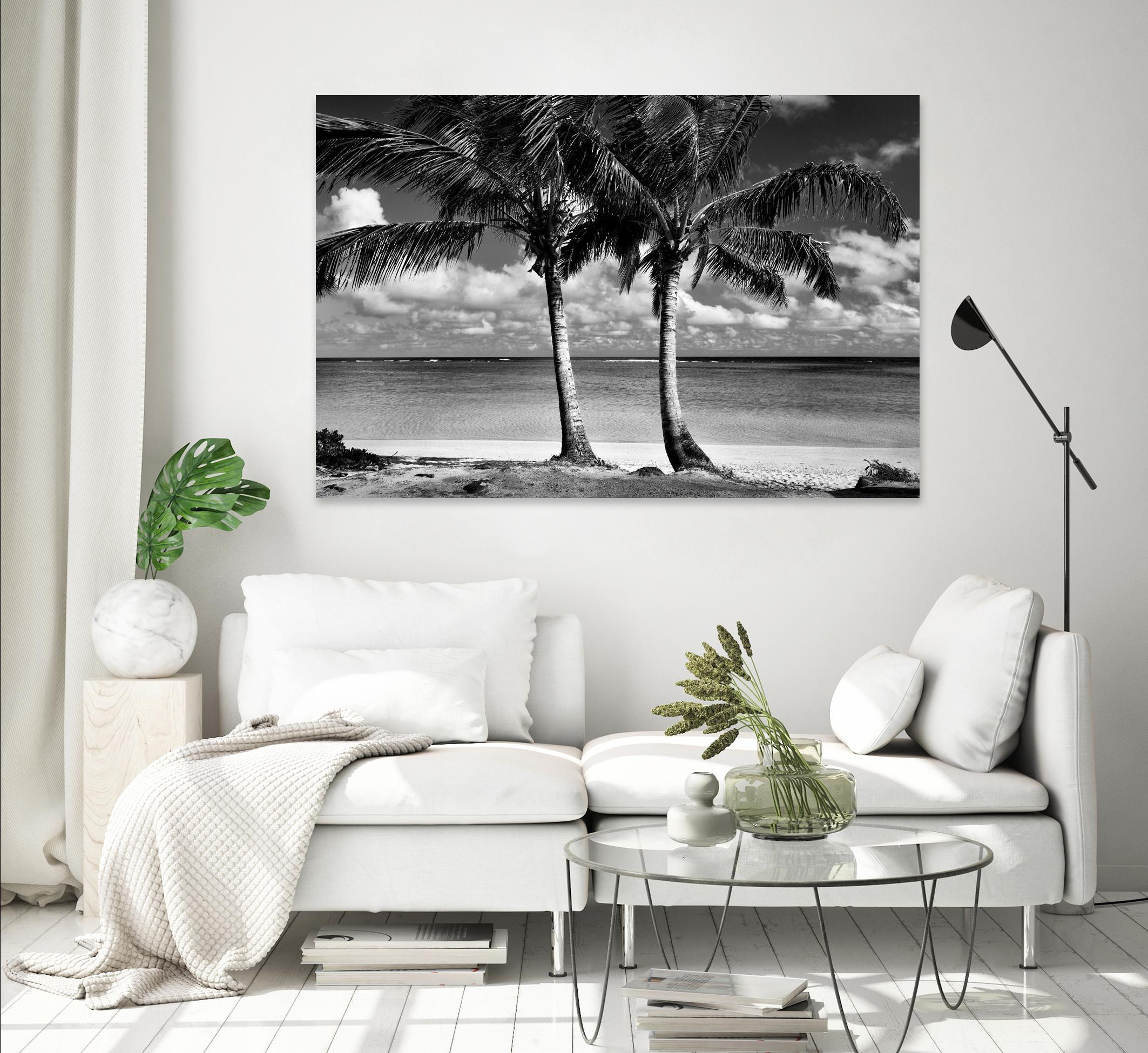 Summer Breezes I by Dennis Frates on GIANT ART - white tropical