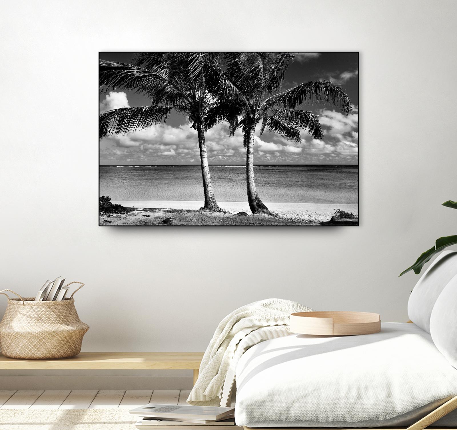 Summer Breezes I by Dennis Frates on GIANT ART - white tropical
