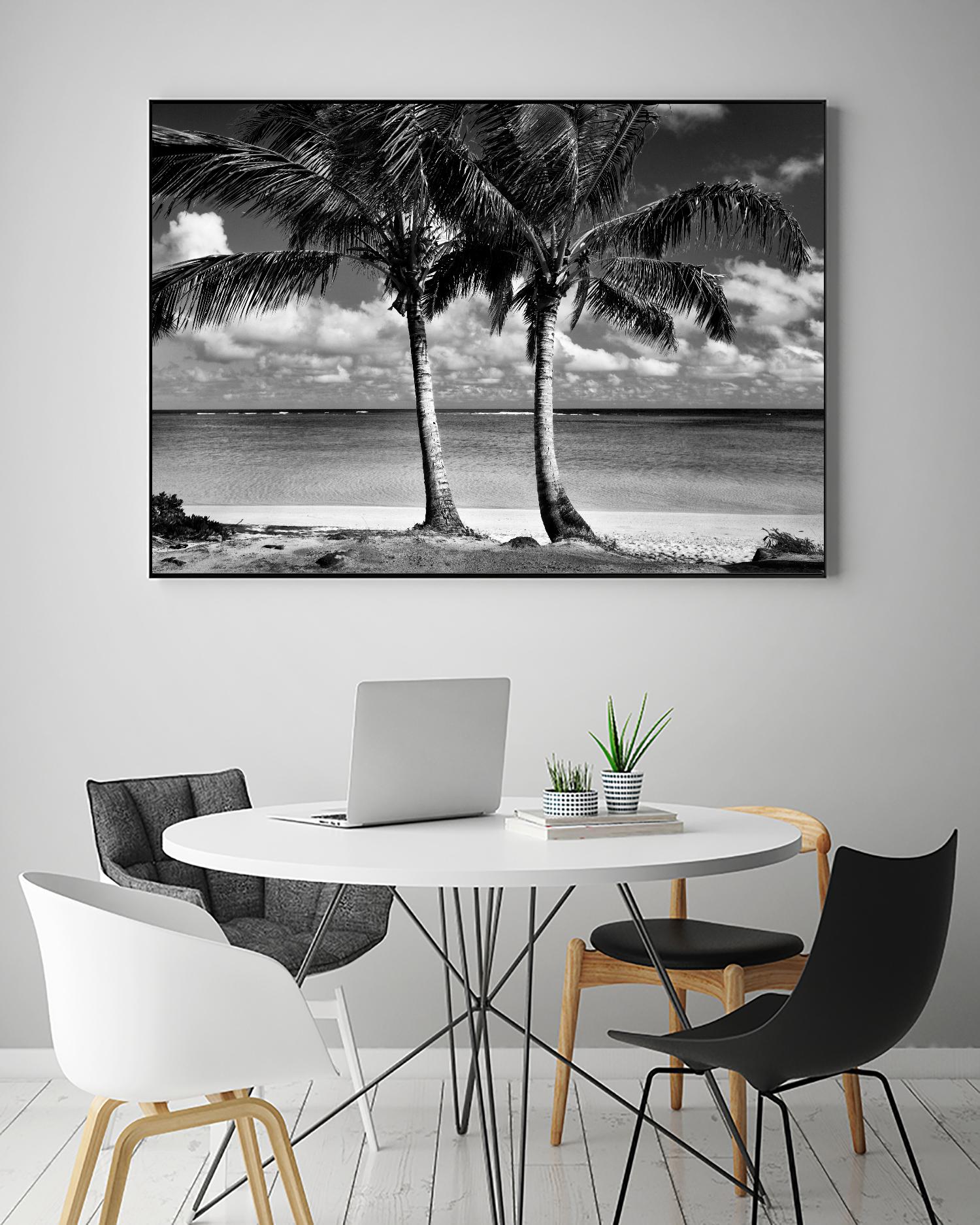 Summer Breezes I by Dennis Frates on GIANT ART - white tropical