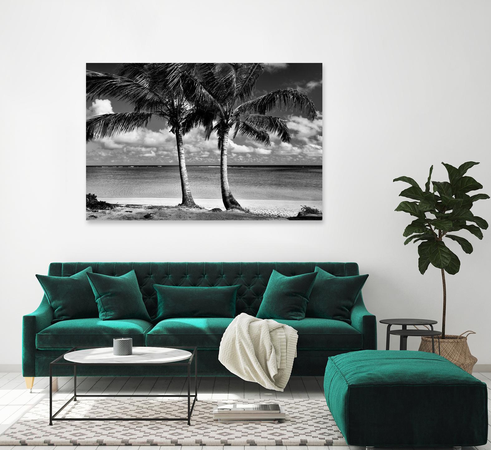 Summer Breezes I by Dennis Frates on GIANT ART - white tropical