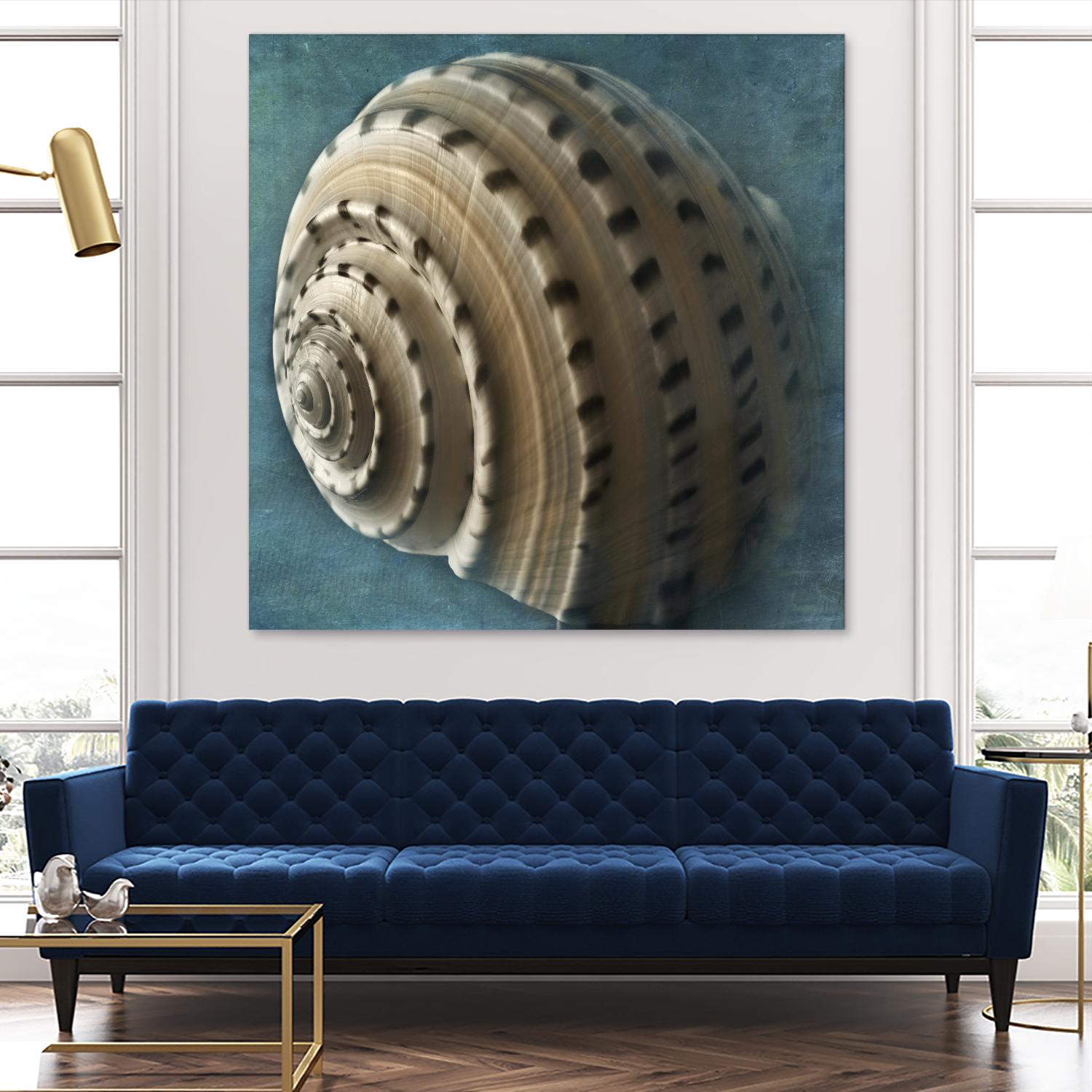 Three Shades of Blue Conch by Dennis Frates on GIANT ART - beige nautical