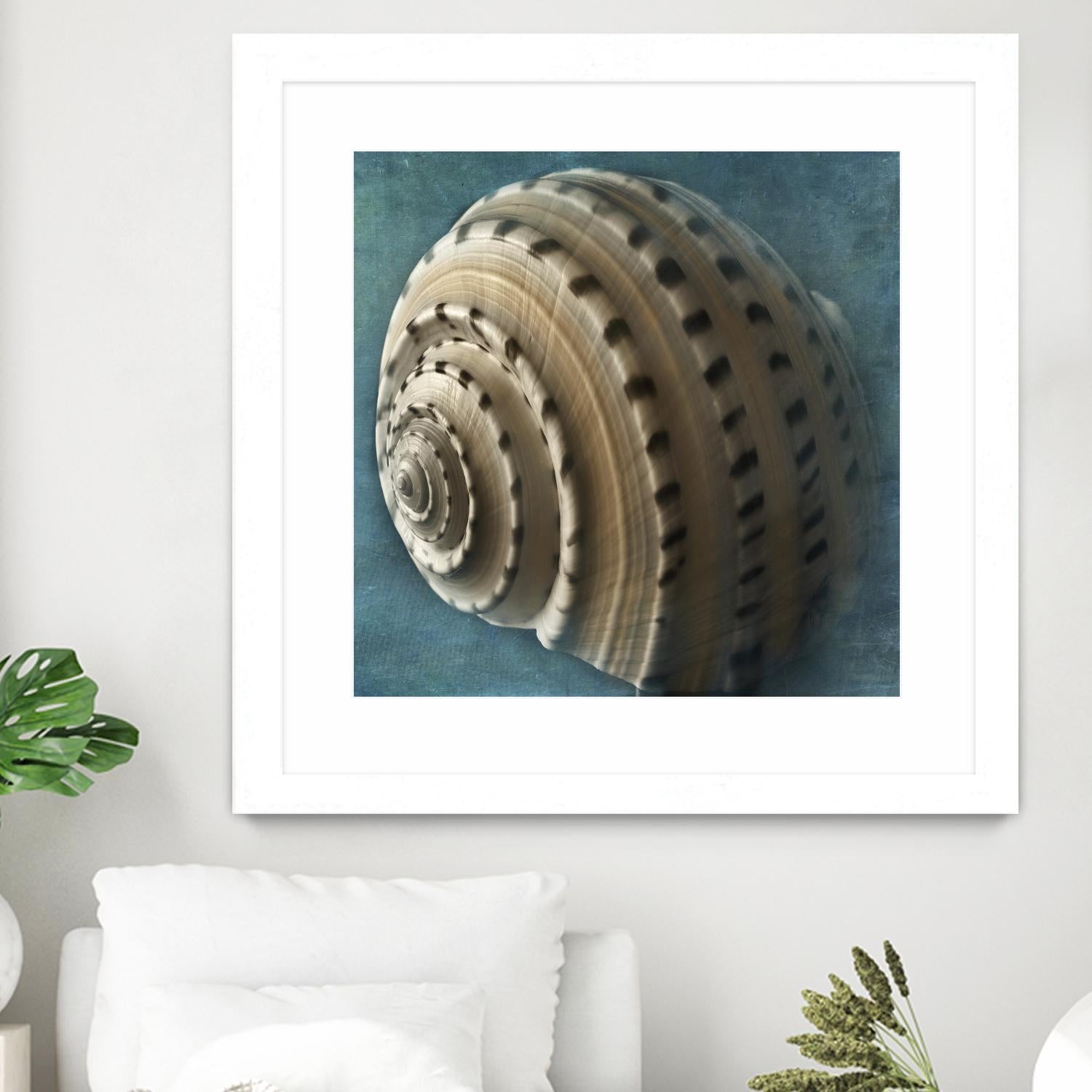 Three Shades of Blue Conch by Dennis Frates on GIANT ART - beige nautical