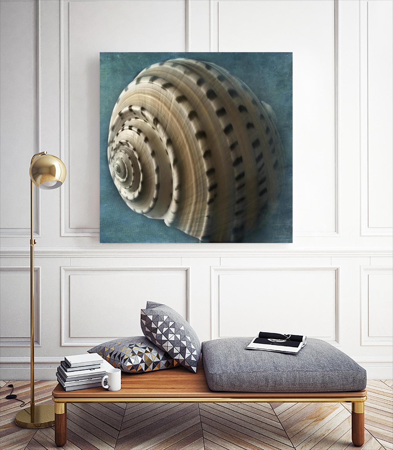 Three Shades of Blue Conch by Dennis Frates on GIANT ART - beige nautical