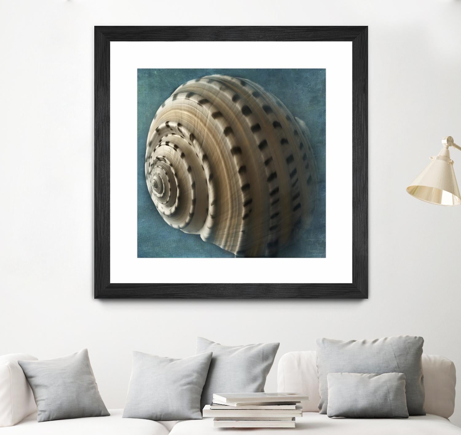 Three Shades of Blue Conch by Dennis Frates on GIANT ART - beige nautical