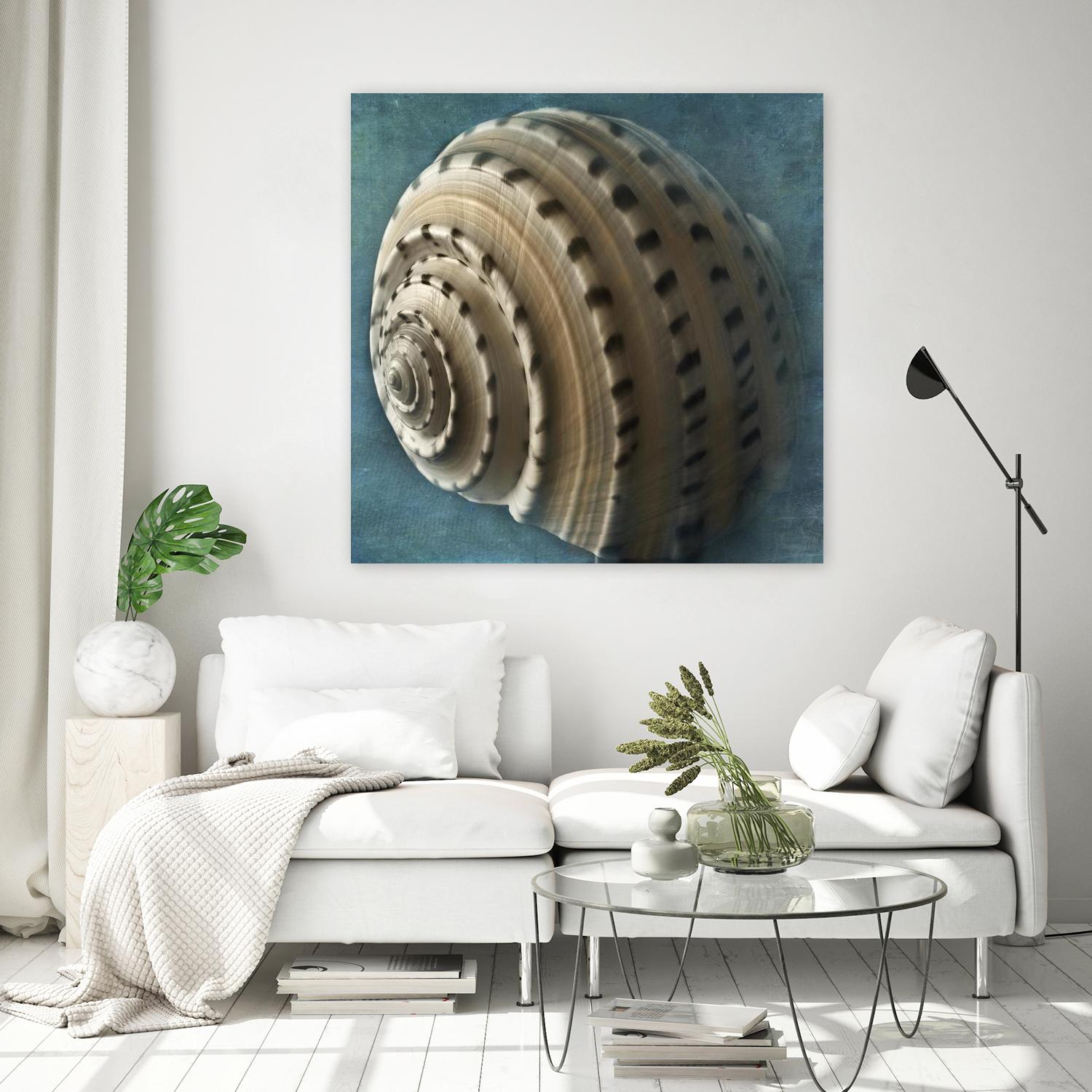 Three Shades of Blue Conch by Dennis Frates on GIANT ART - beige nautical