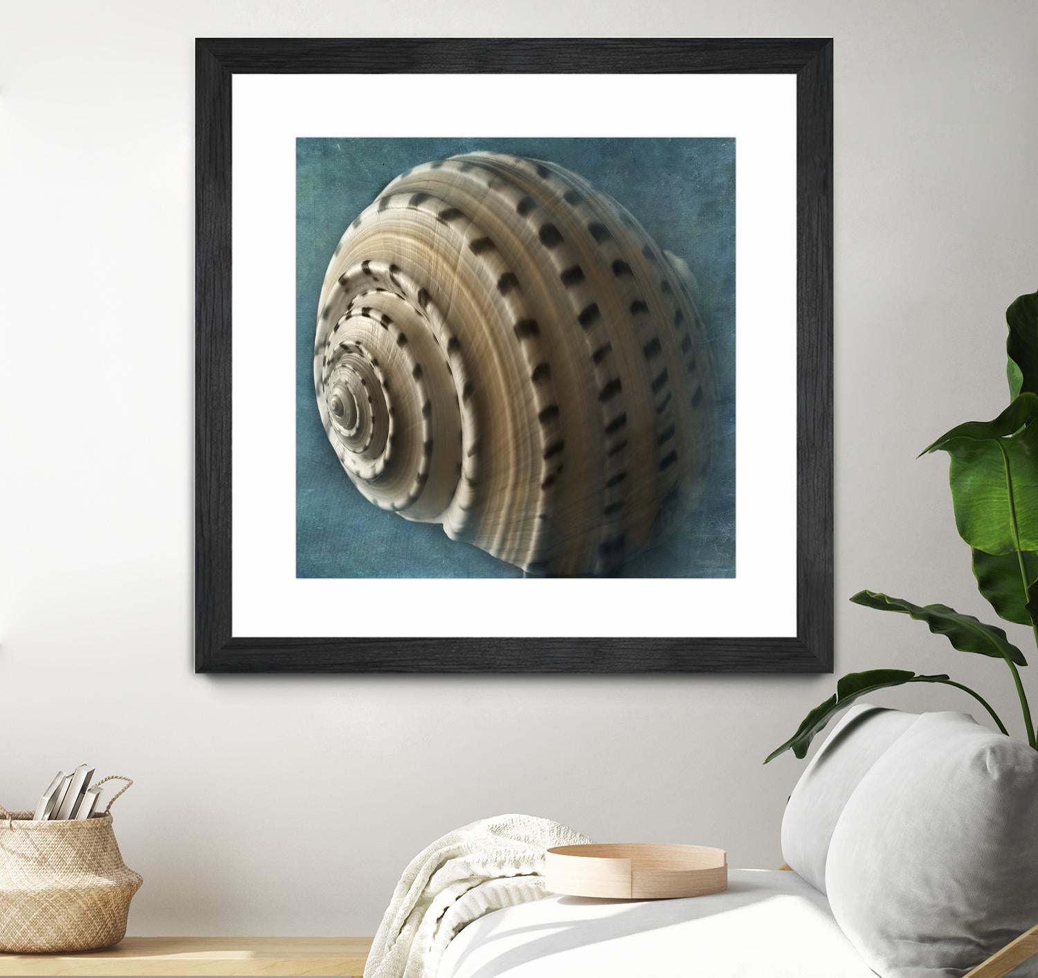 Three Shades of Blue Conch by Dennis Frates on GIANT ART - beige nautical