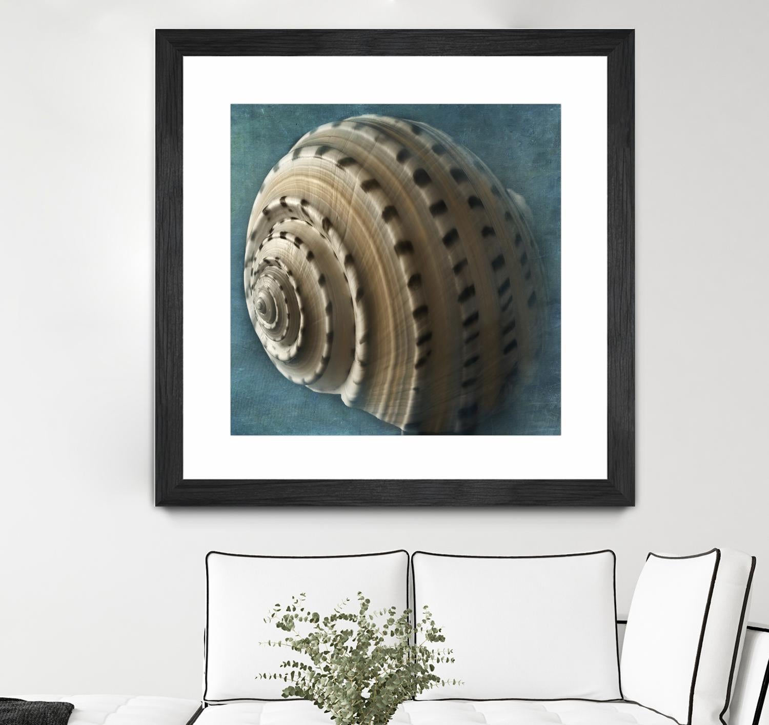 Three Shades of Blue Conch by Dennis Frates on GIANT ART - beige nautical