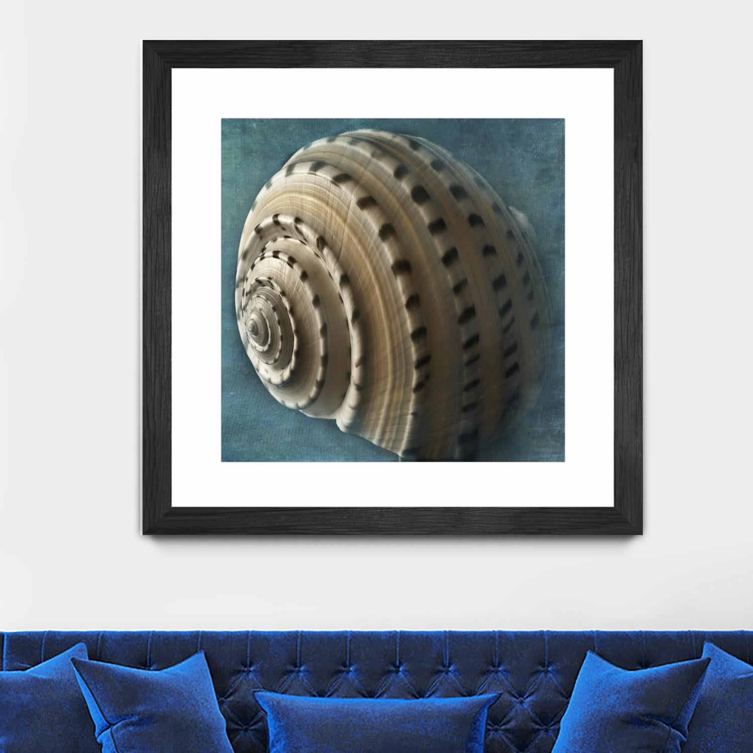 Three Shades of Blue Conch by Dennis Frates on GIANT ART - beige nautical
