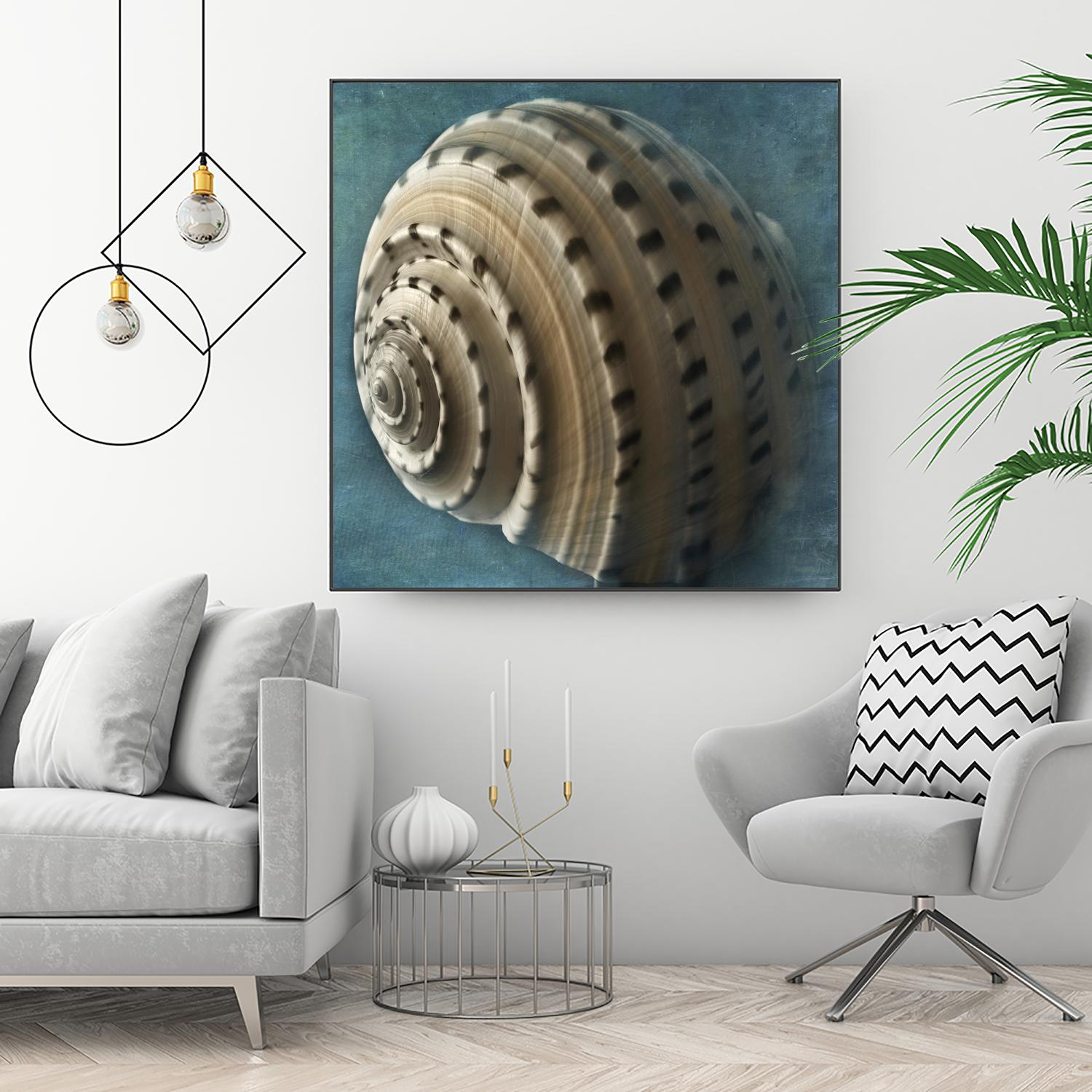 Three Shades of Blue Conch by Dennis Frates on GIANT ART - beige nautical