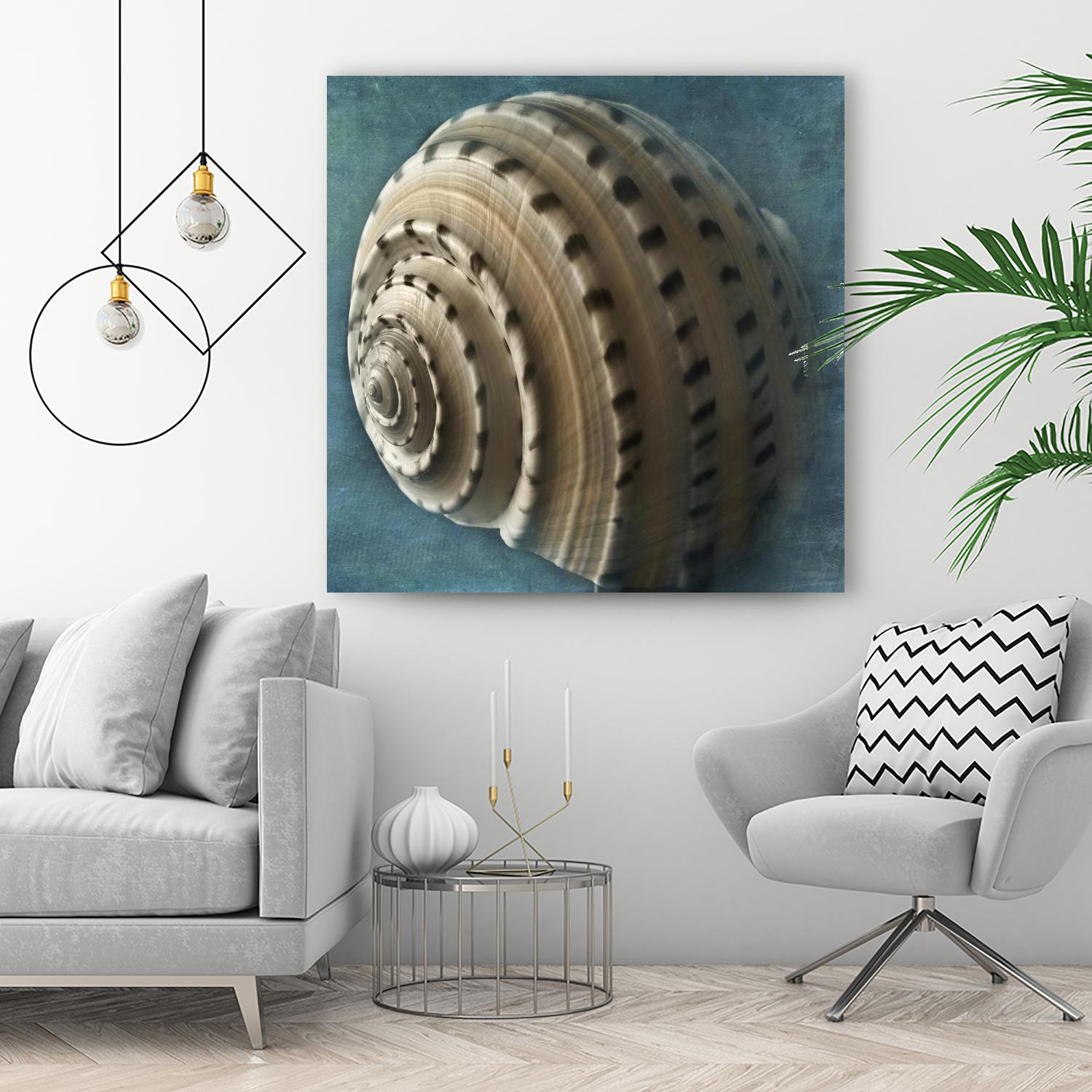 Three Shades of Blue Conch by Dennis Frates on GIANT ART - beige nautical