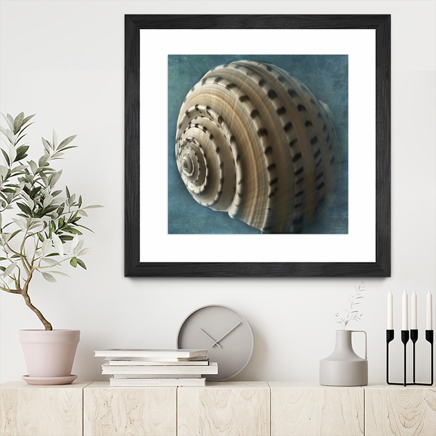 Three Shades of Blue Conch by Dennis Frates on GIANT ART - beige nautical