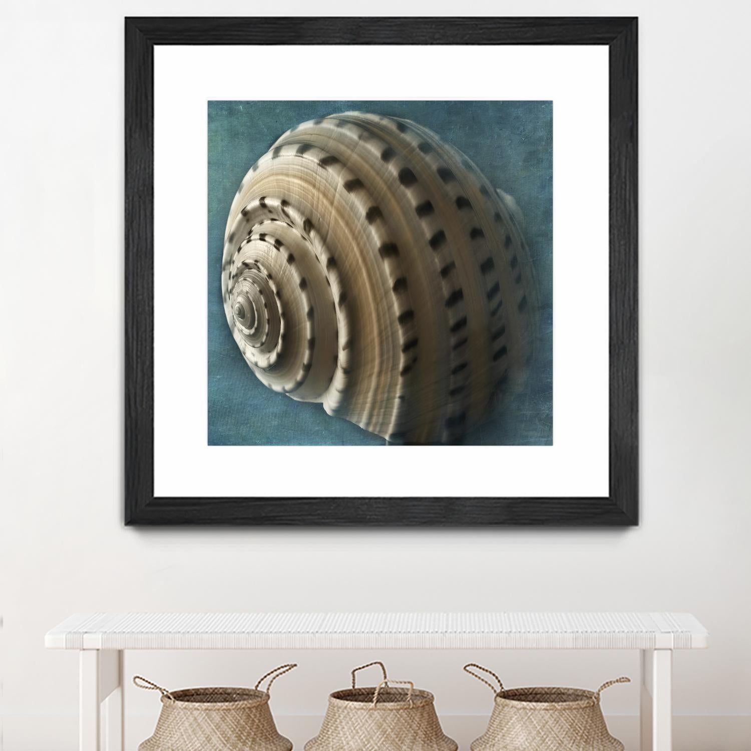 Three Shades of Blue Conch by Dennis Frates on GIANT ART - beige nautical