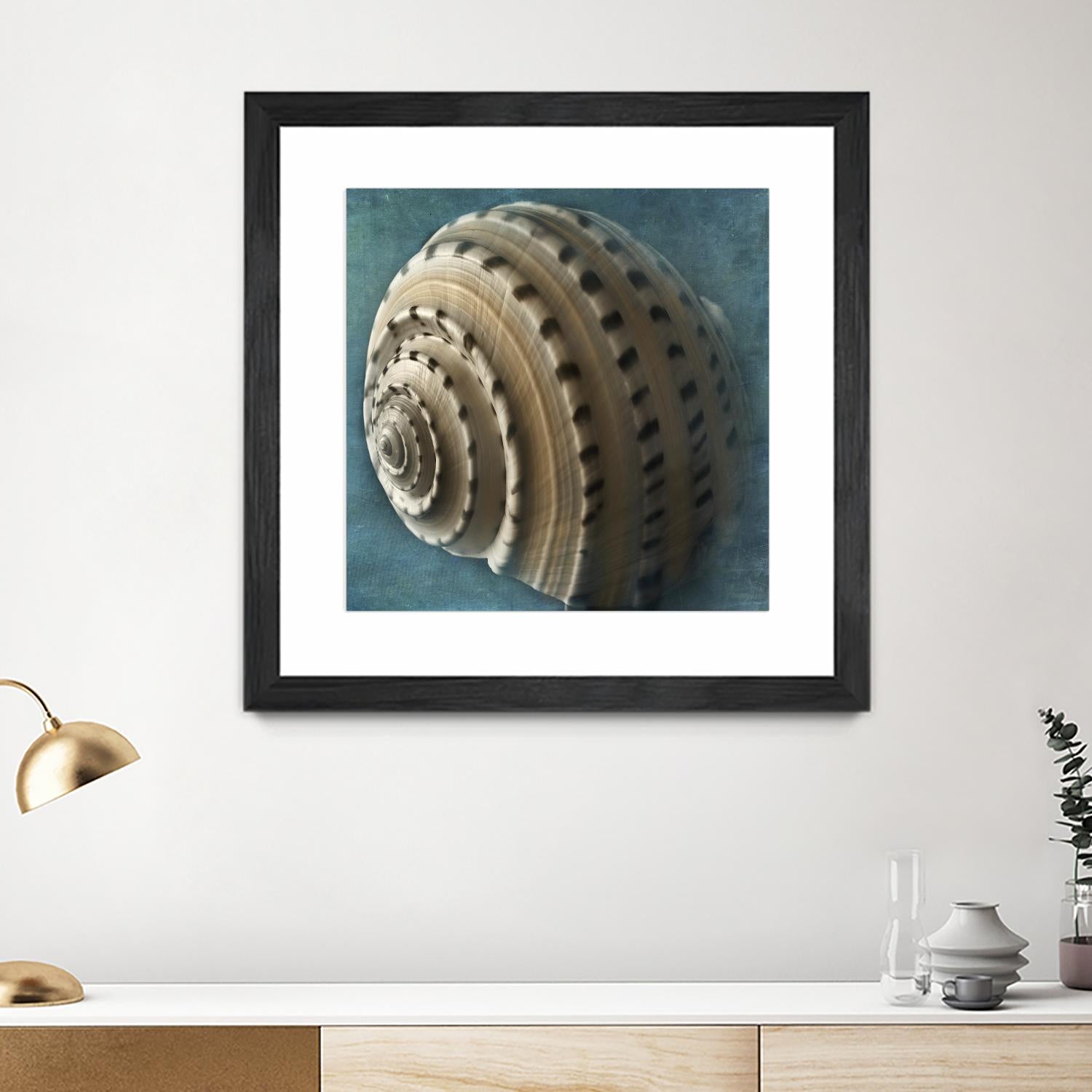 Three Shades of Blue Conch by Dennis Frates on GIANT ART - beige nautical