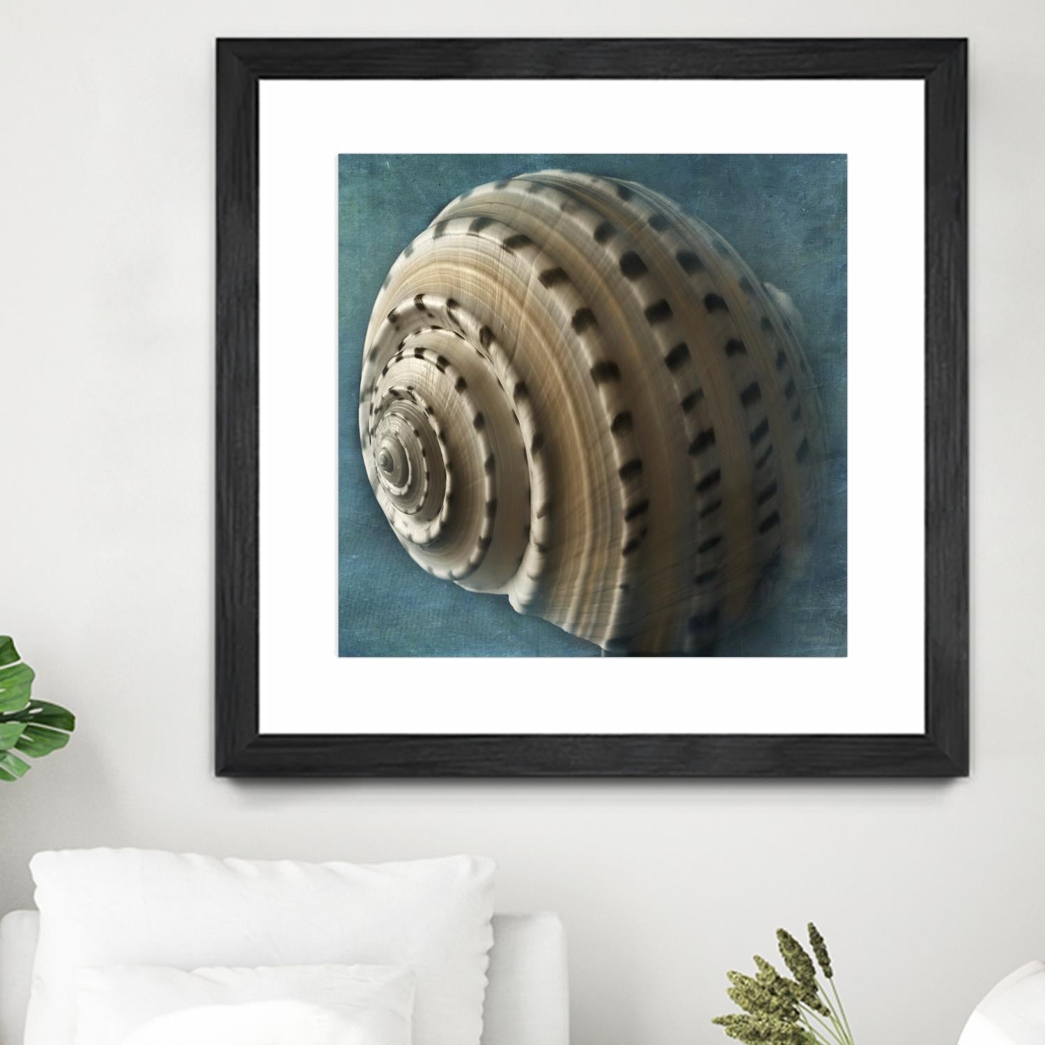 Three Shades of Blue Conch by Dennis Frates on GIANT ART - beige nautical