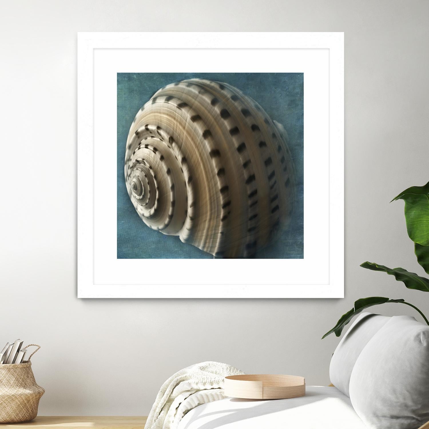 Three Shades of Blue Conch by Dennis Frates on GIANT ART - beige nautical