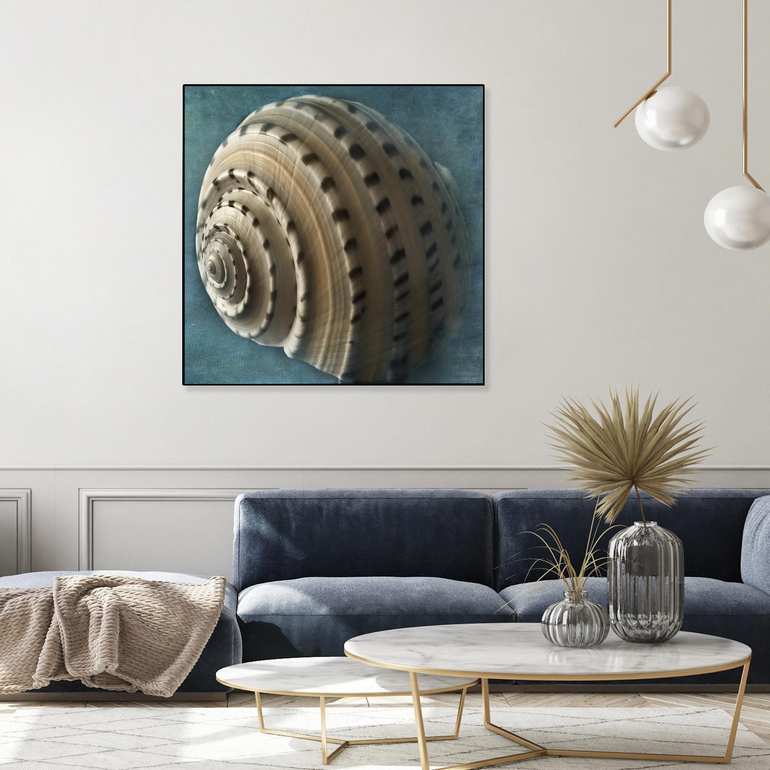 Three Shades of Blue Conch by Dennis Frates on GIANT ART - beige nautical