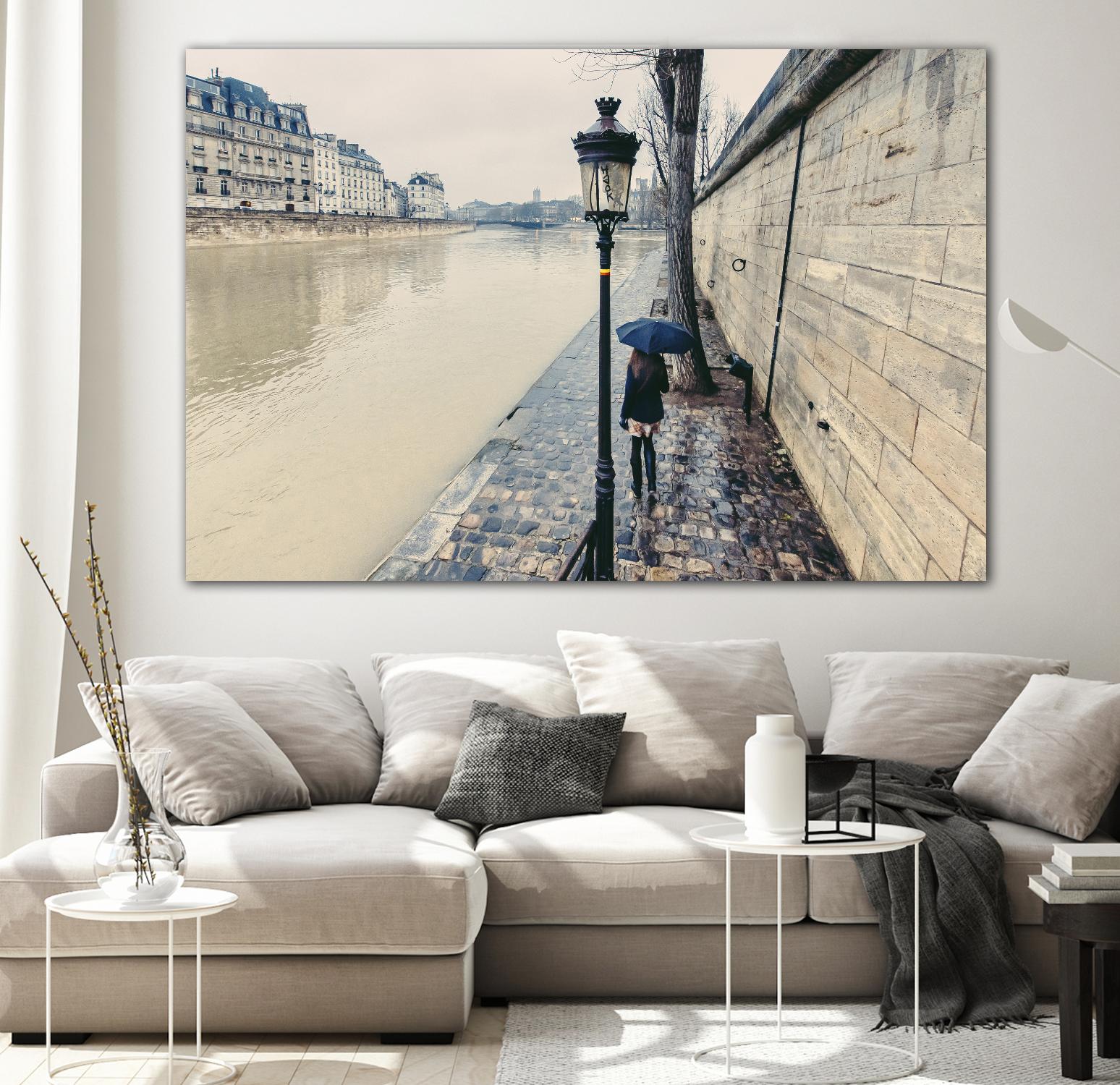 The Girl on the Seine River by Guilliame Gaudet on GIANT ART - grey city scene