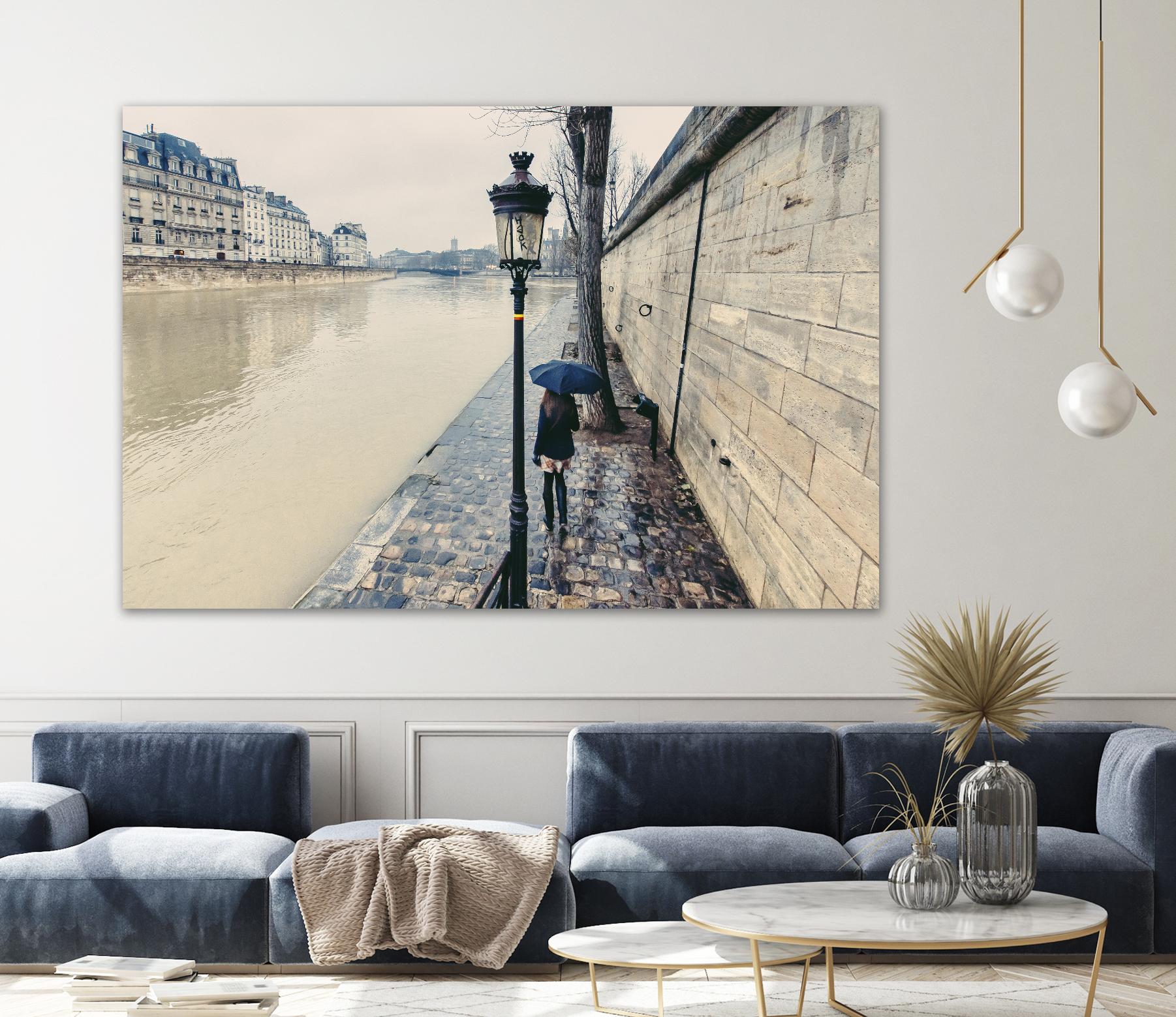 The Girl on the Seine River by Guilliame Gaudet on GIANT ART - grey city scene