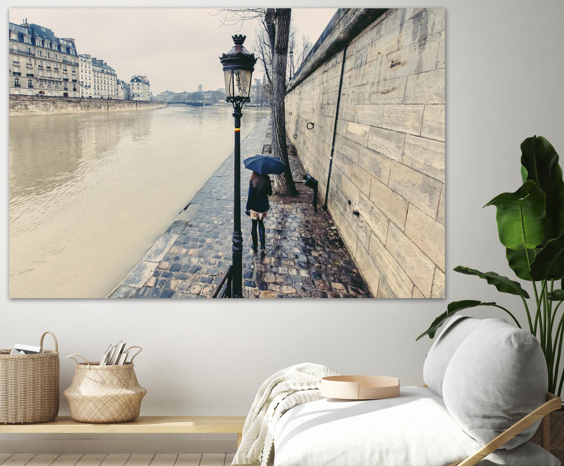 The Girl on the Seine River by Guilliame Gaudet on GIANT ART - grey city scene