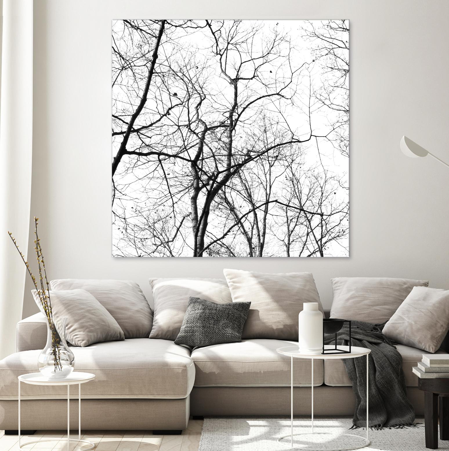 Billows I by Judy Stalus on GIANT ART - black trees